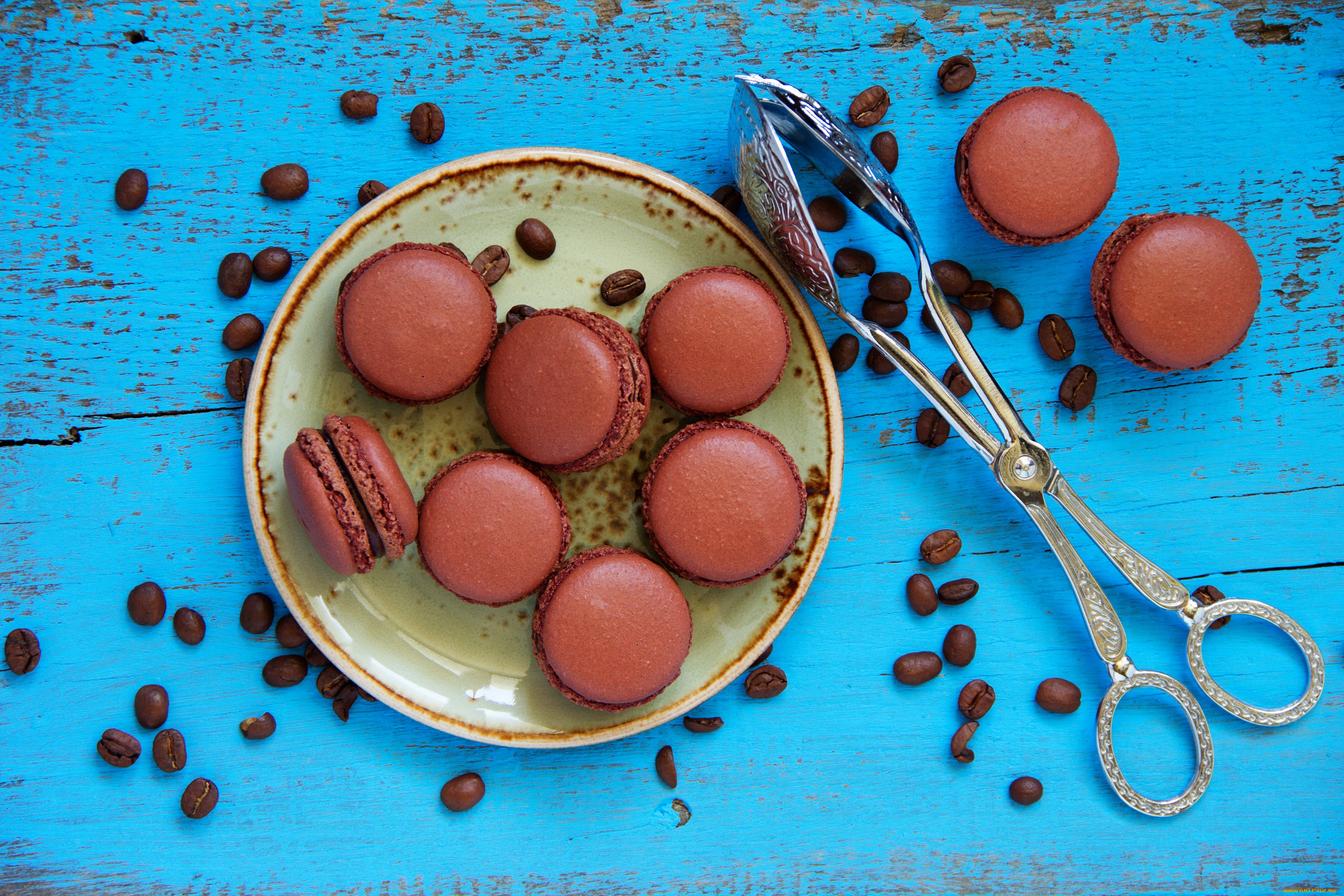 еда, макаруны, кофе