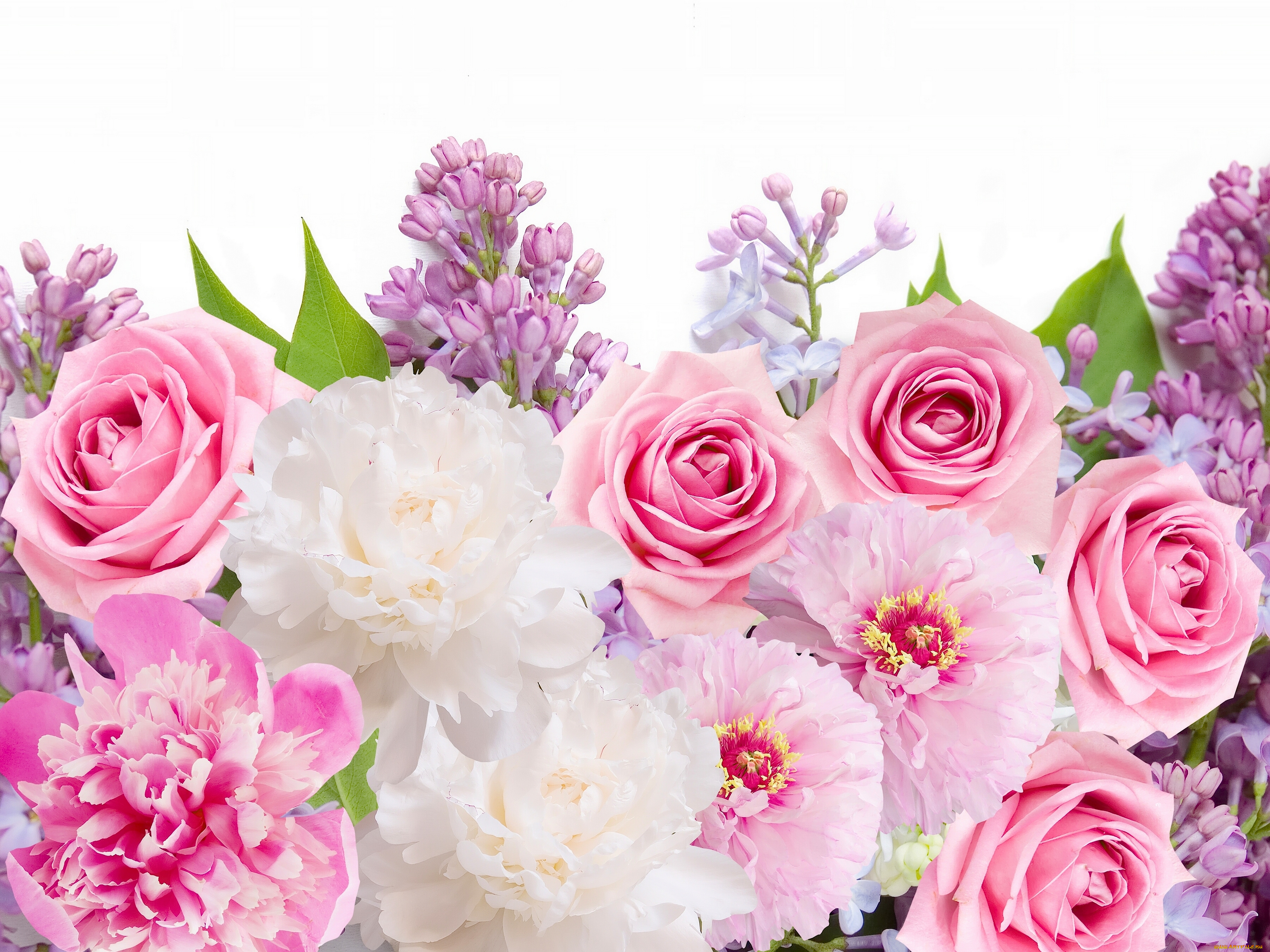 цветы, разные, вместе, сирень, пионы, розы