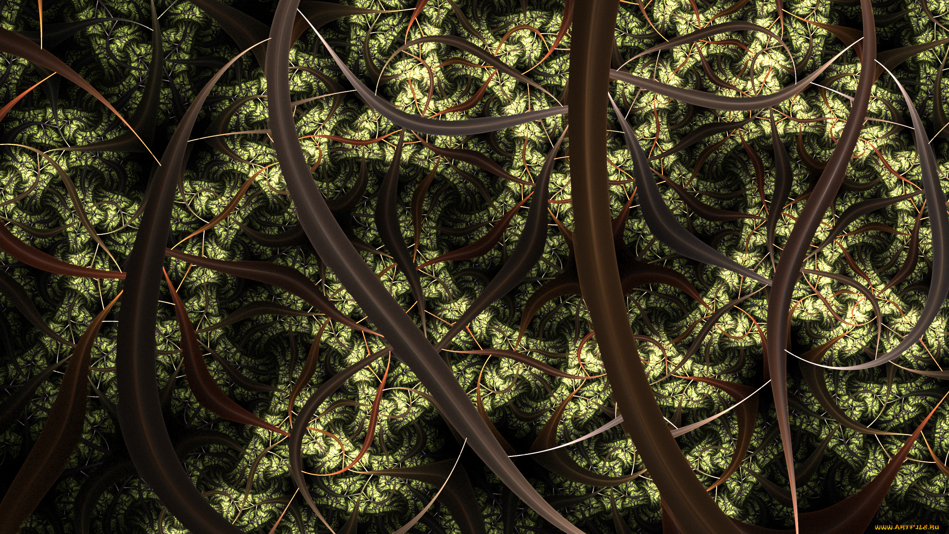 3д, графика, фракталы, , fractal, цвета, фон, узор