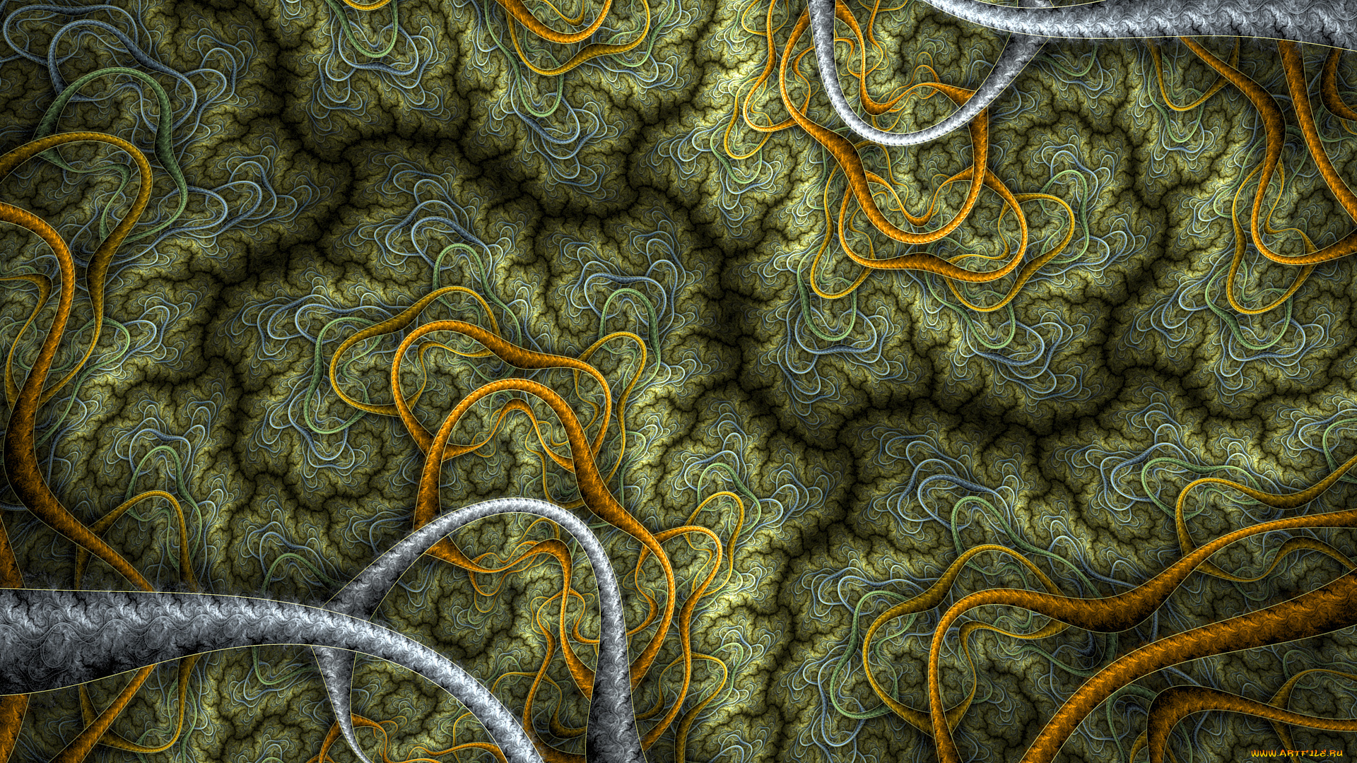 3д, графика, фракталы, , fractal, фон, узор, цвета