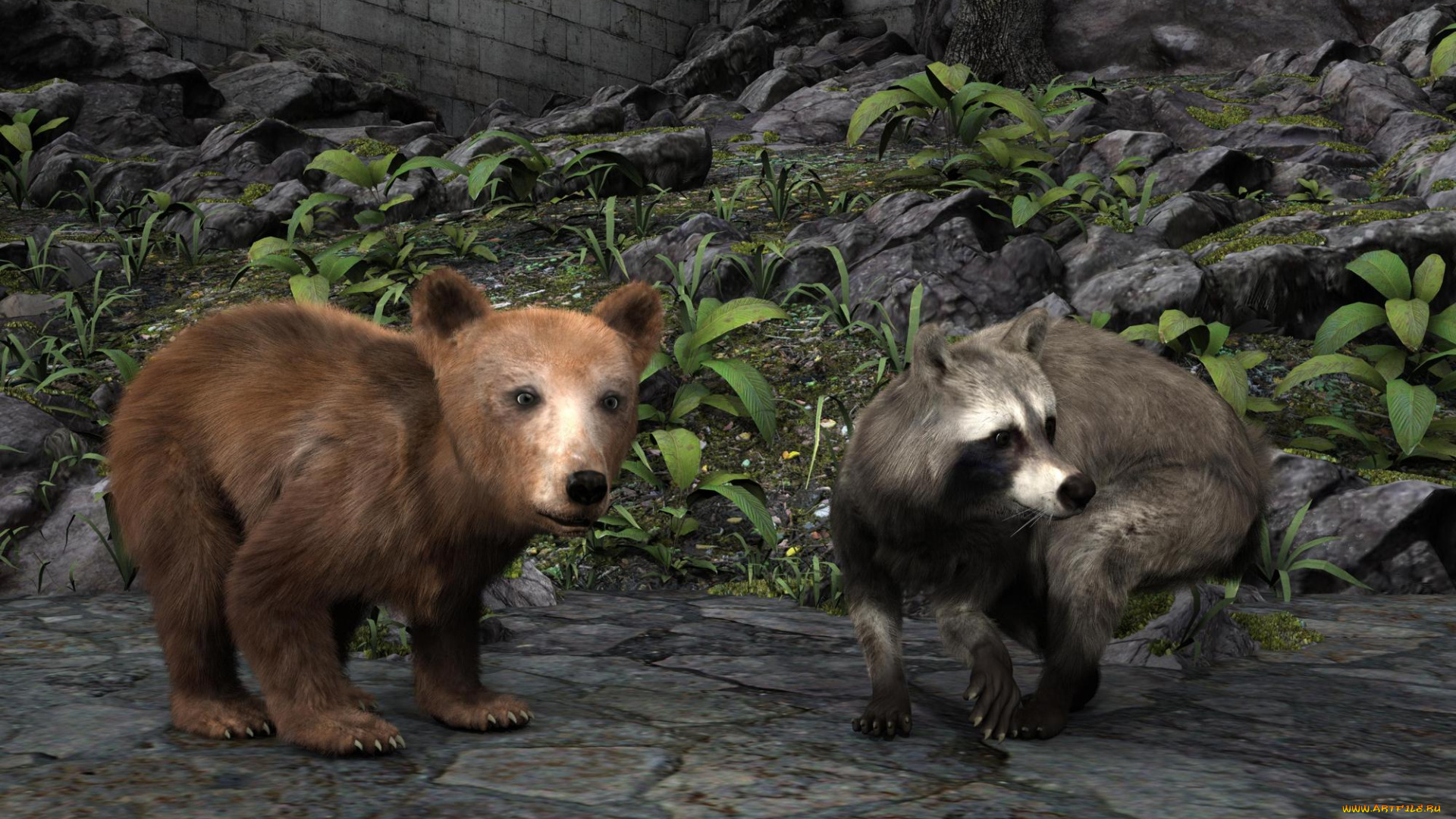 3д, графика, животные, , animals, борсук, медвежонок