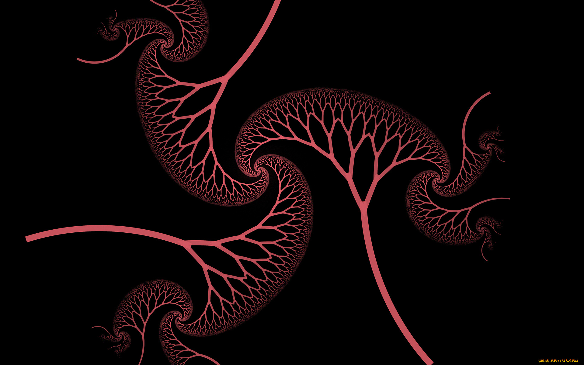 3д, графика, фракталы, , fractal, фон, цвета, узор