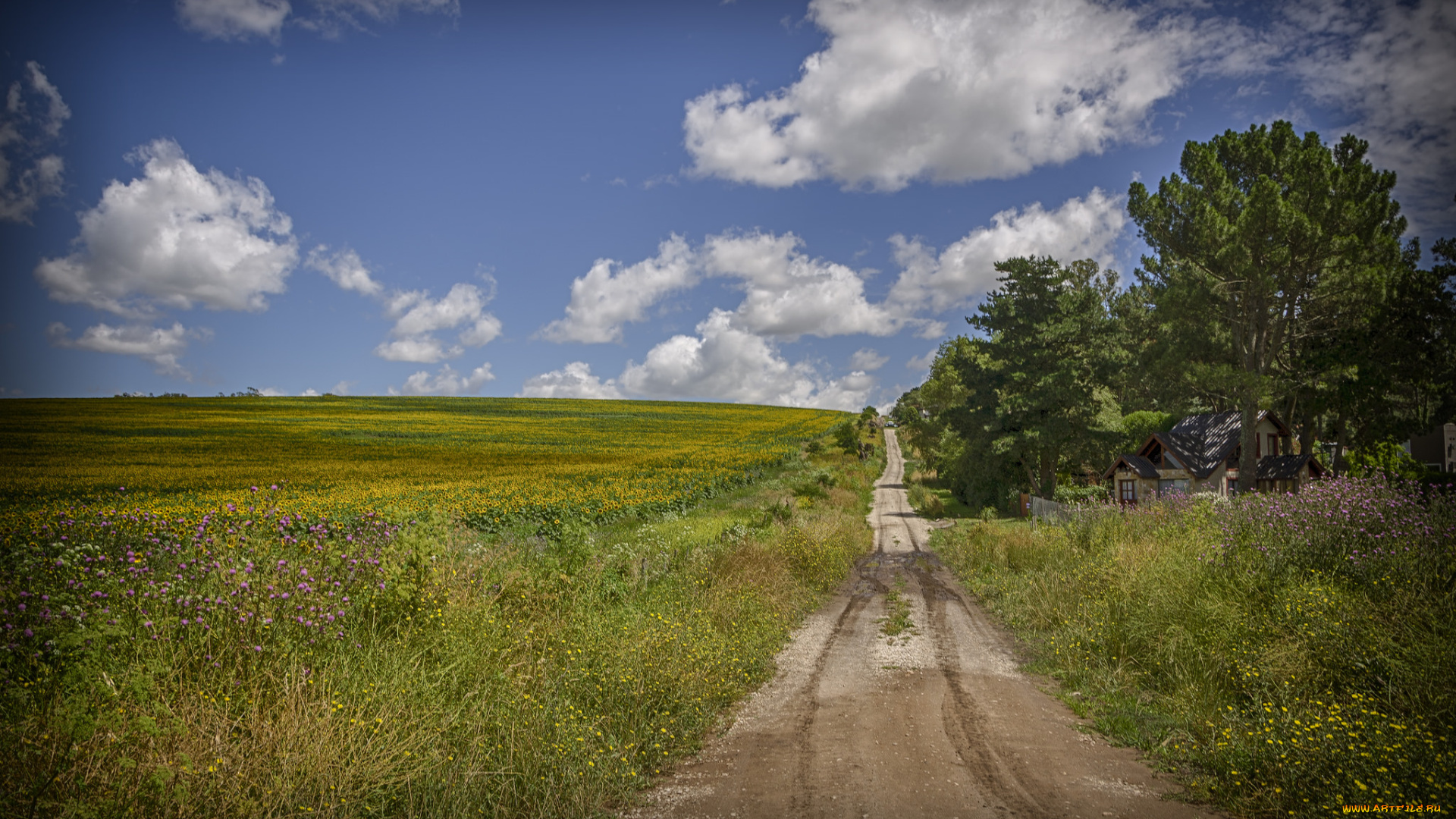 природа, дороги, тракт