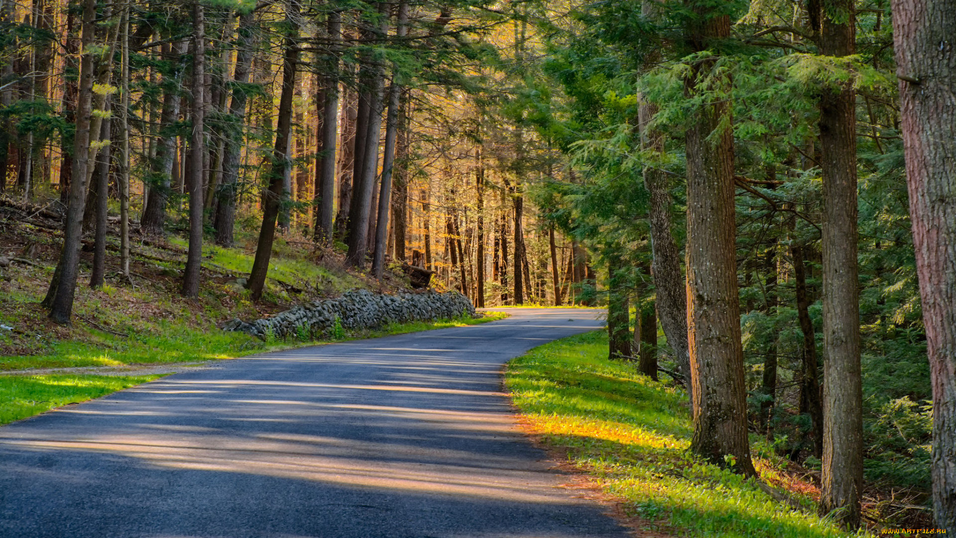 природа, дороги, тракт