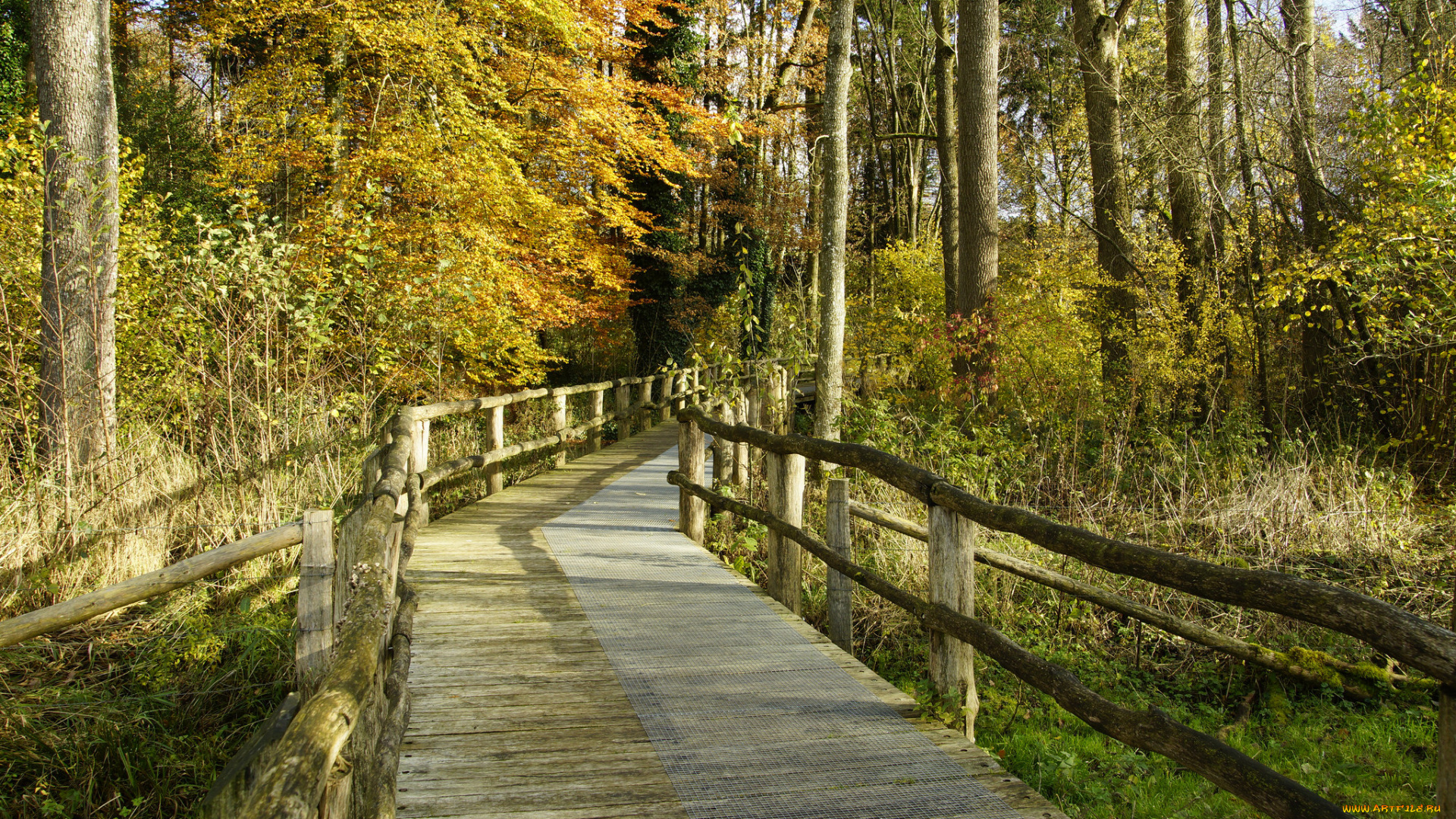 природа, дороги, тракт