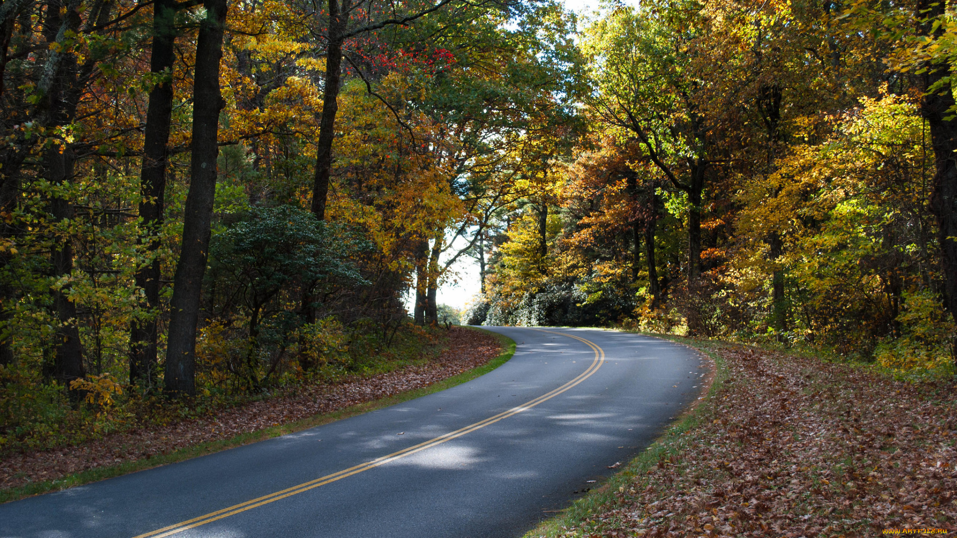природа, дороги, тракт