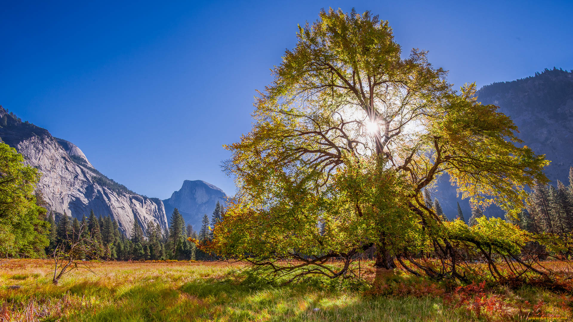 природа, горы, скалы