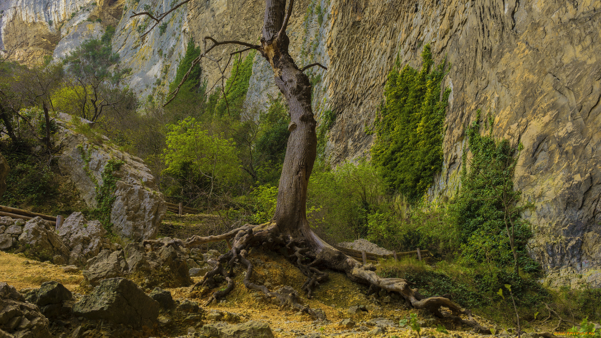 природа, горы, скалы