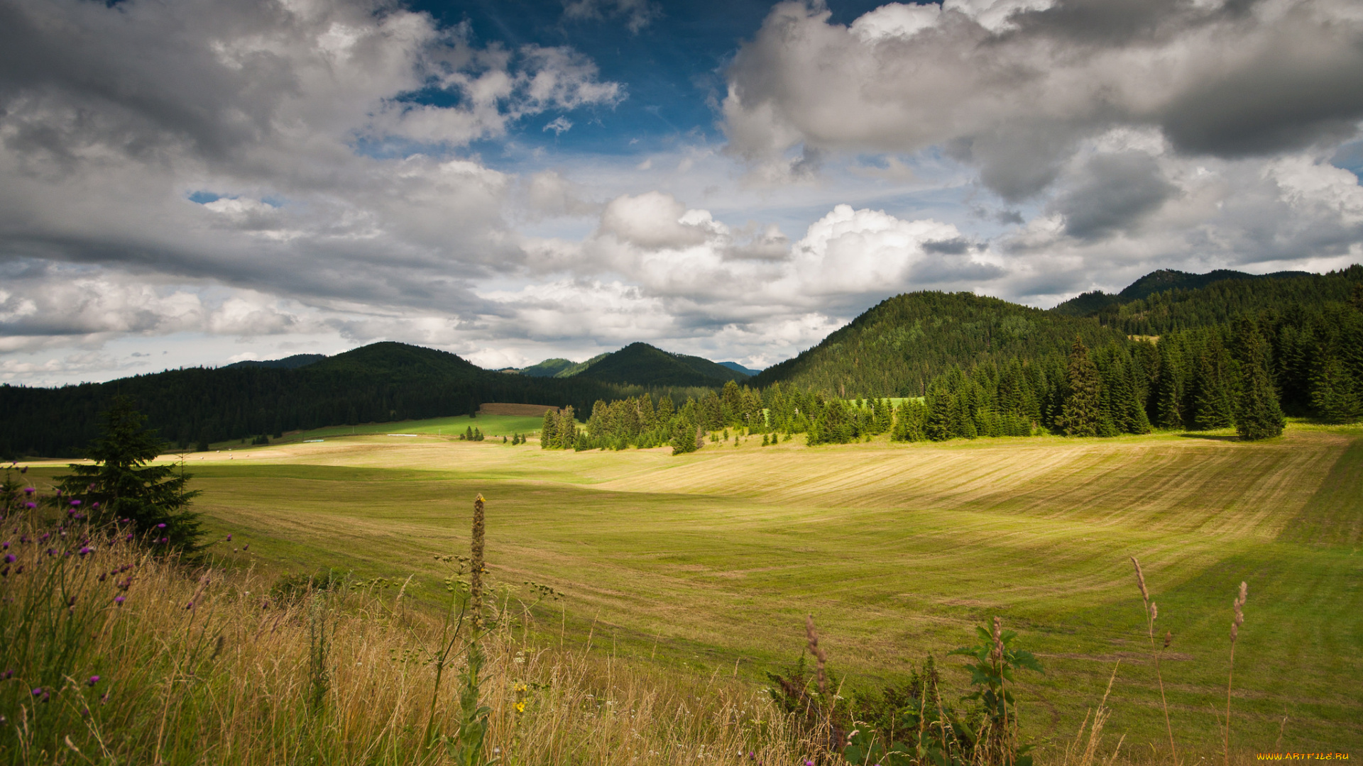 природа, пейзажи, простор