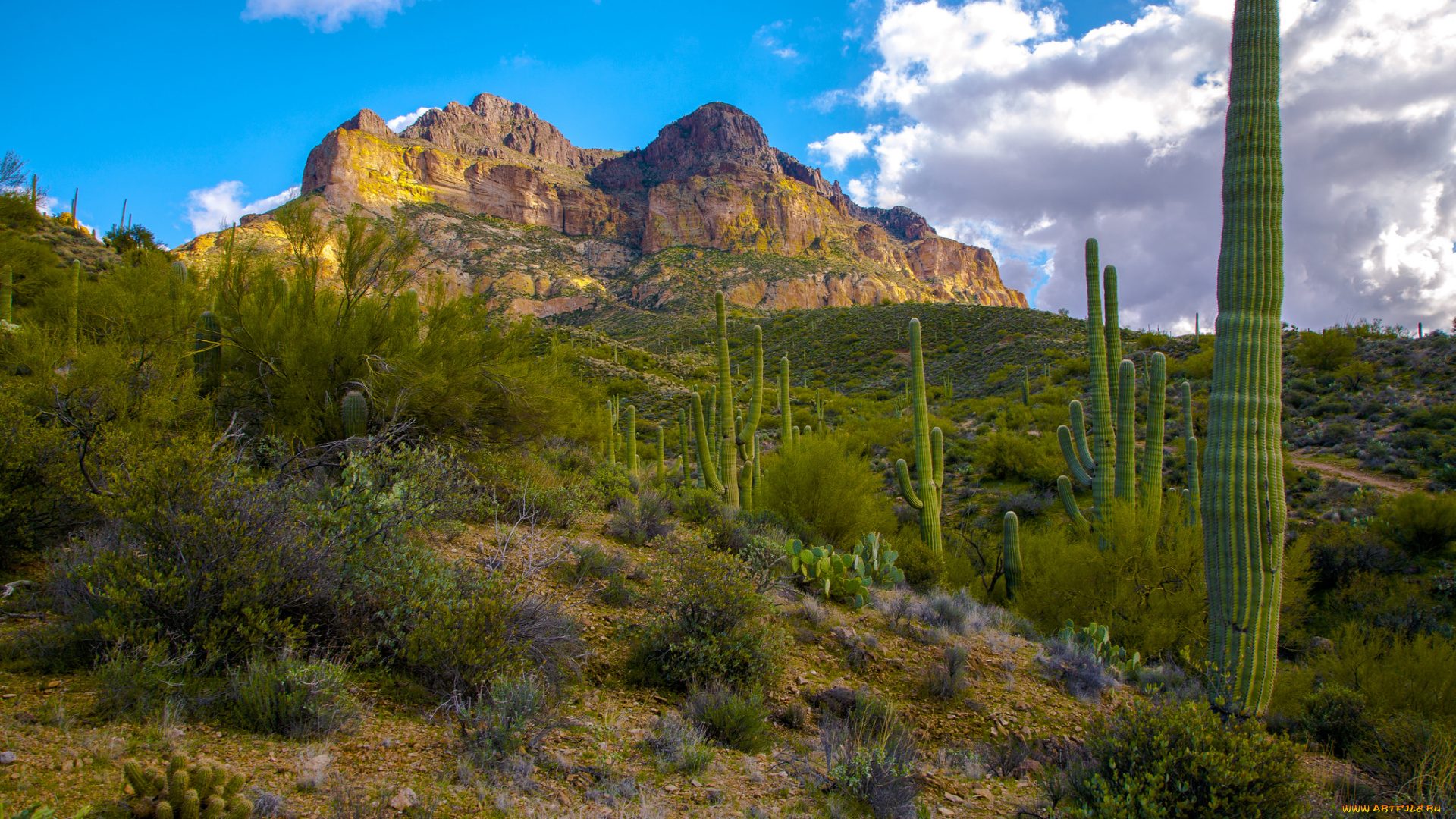 природа, пустыни, скалы