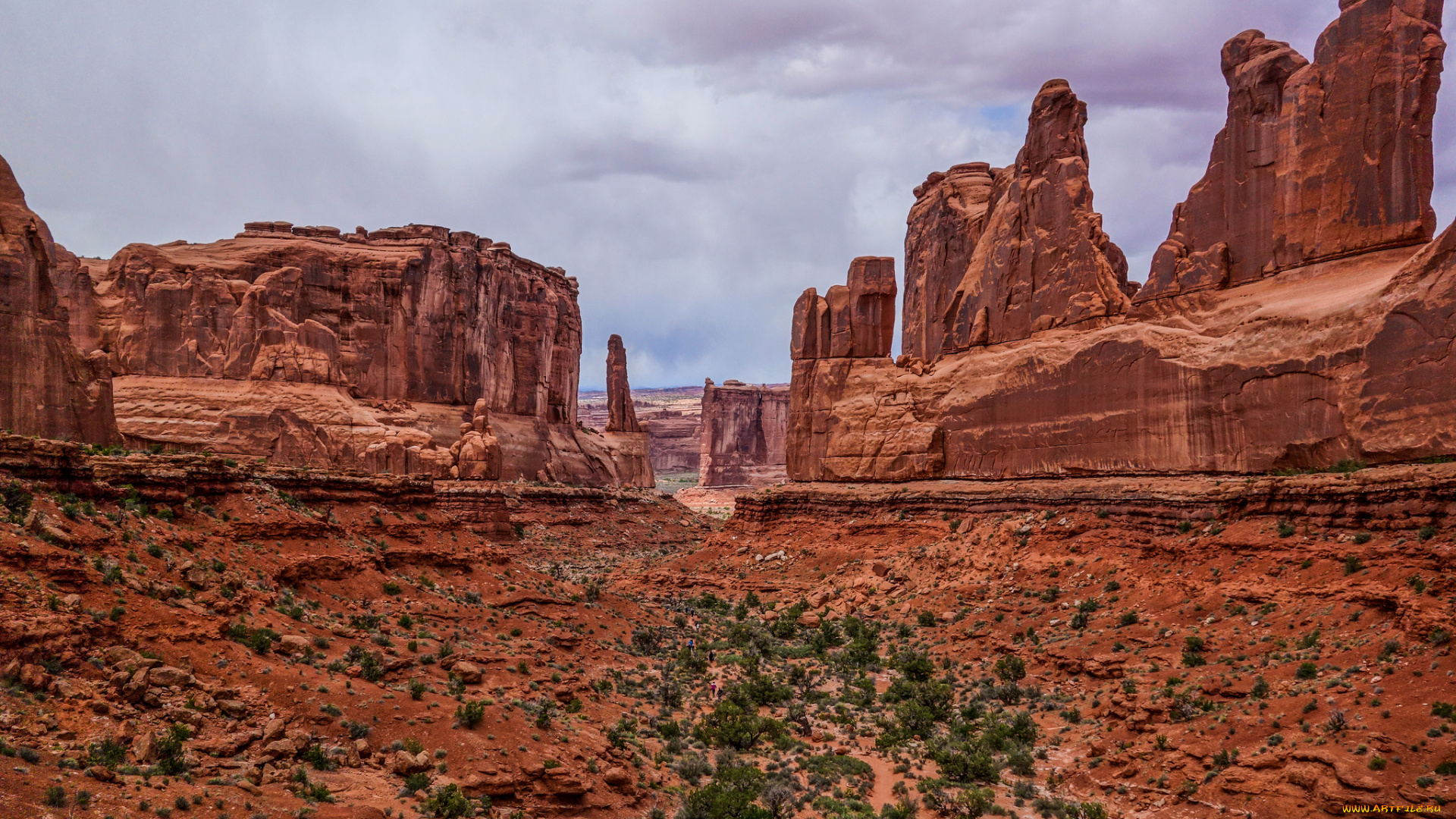 природа, пустыни, скалы