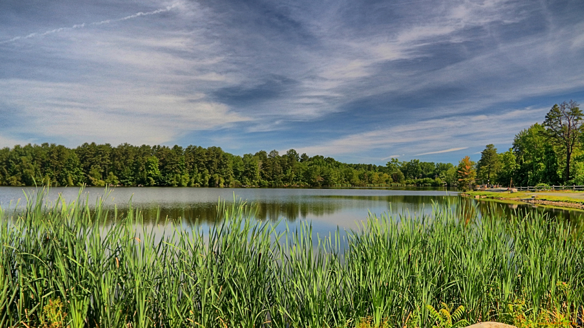 природа, реки, озера, лес, река