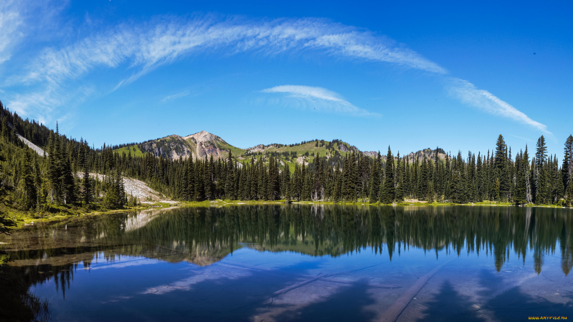 природа, реки, озера, лес, река