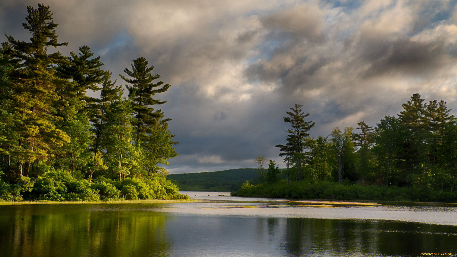 природа, реки, озера, лес, река