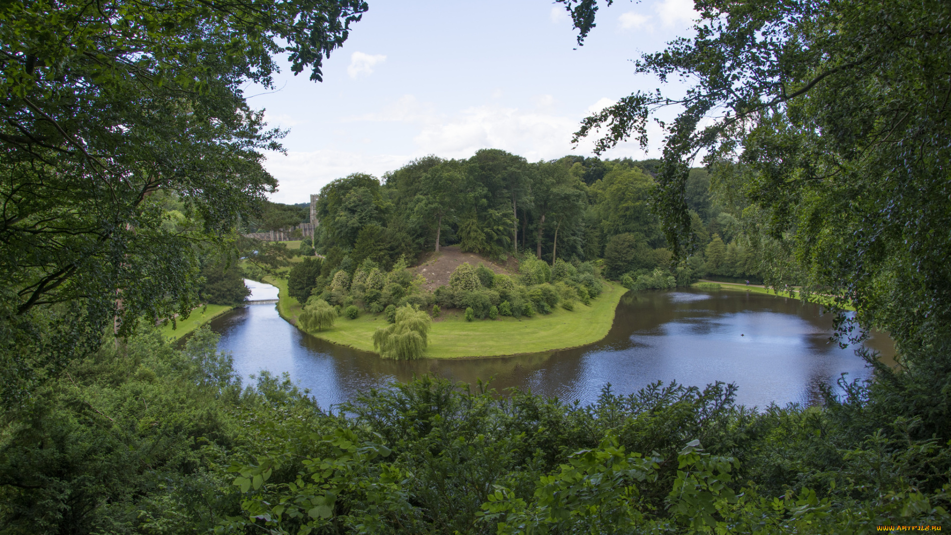 природа, реки, озера, лес, река