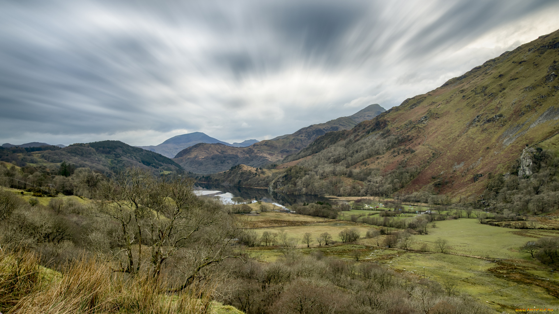 природа, реки, озера, река, лес