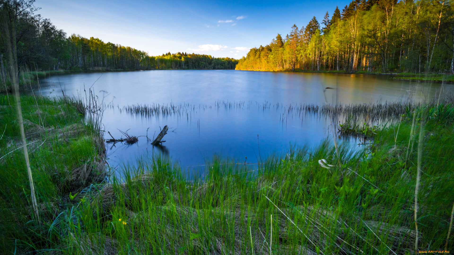 природа, реки, озера, река, лес