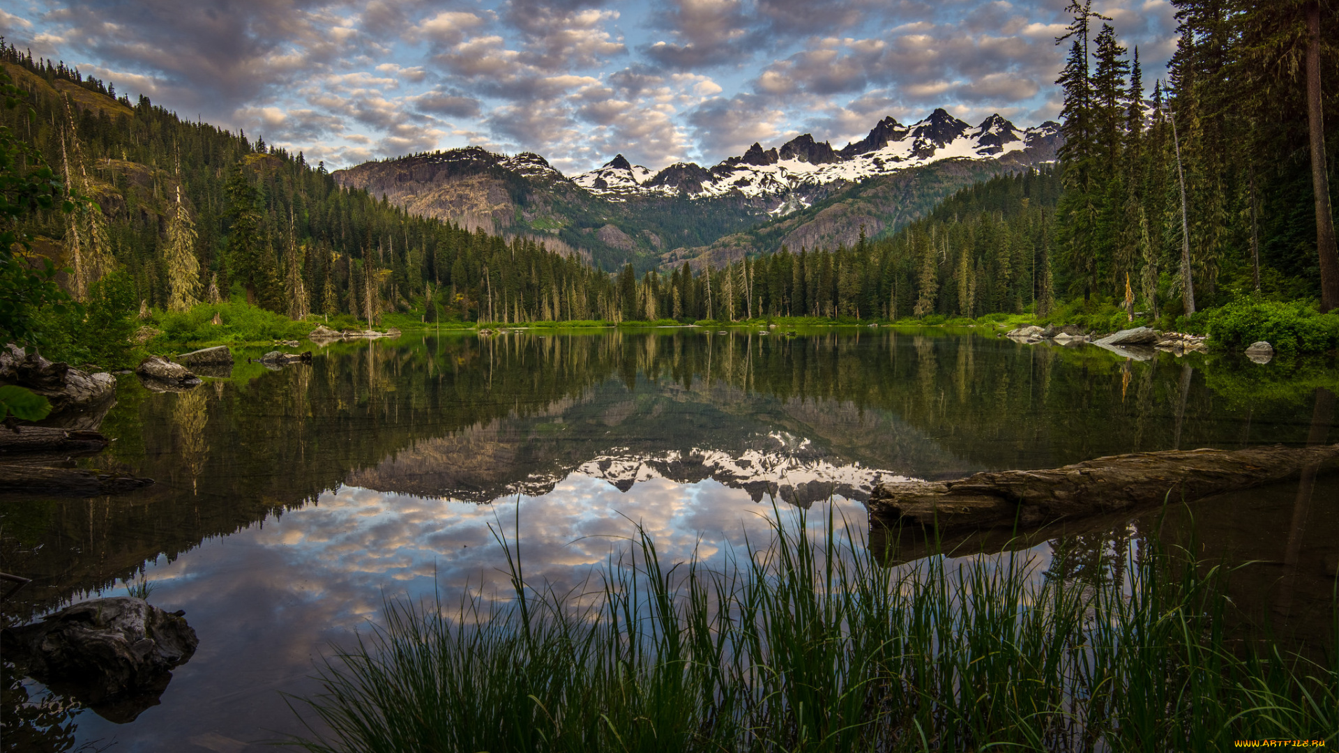 природа, реки, озера, река, лес