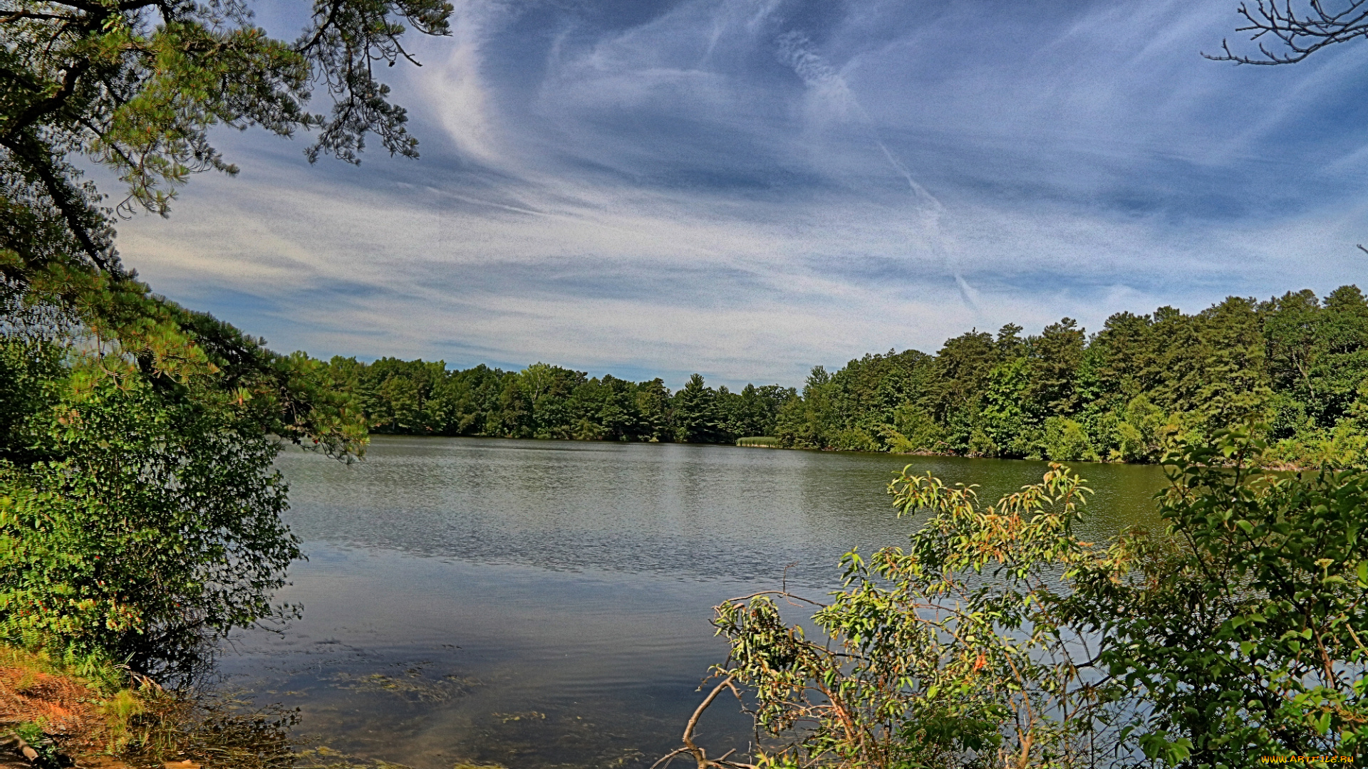 природа, реки, озера, река, лес