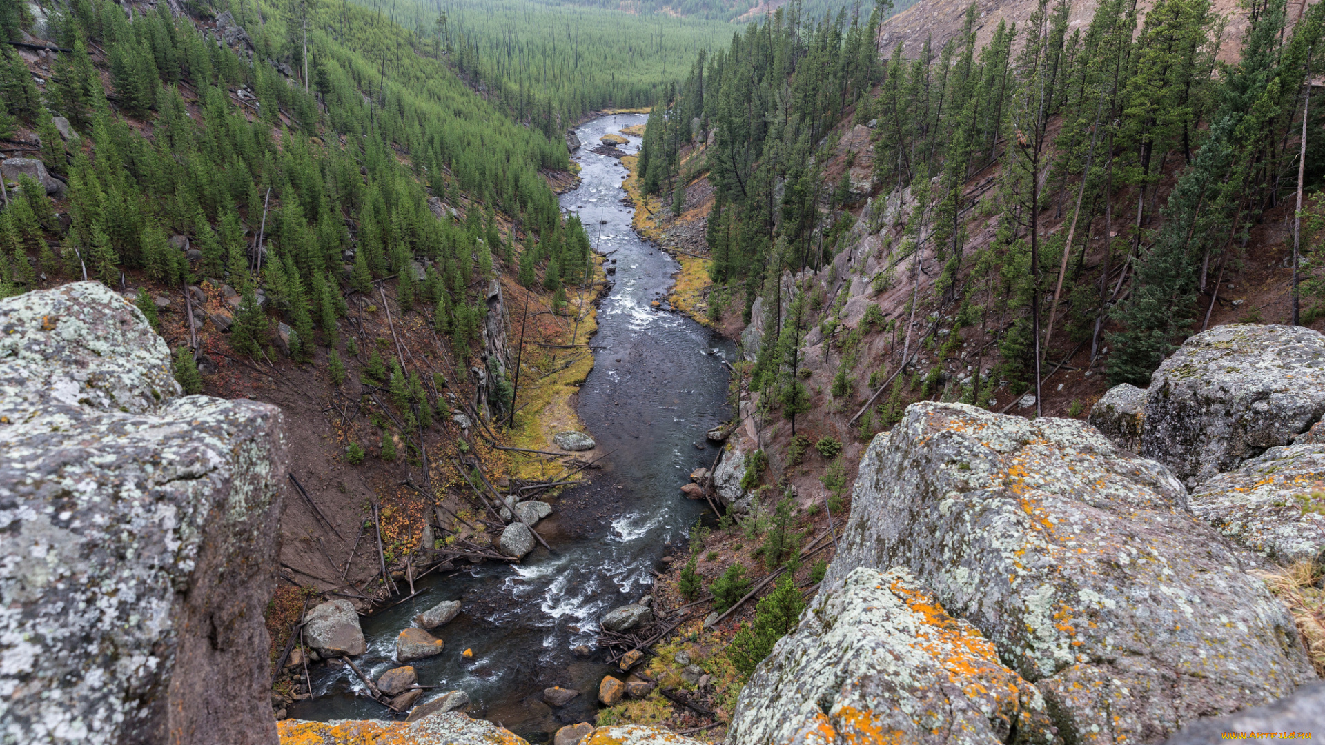 природа, реки, озера, река, лес