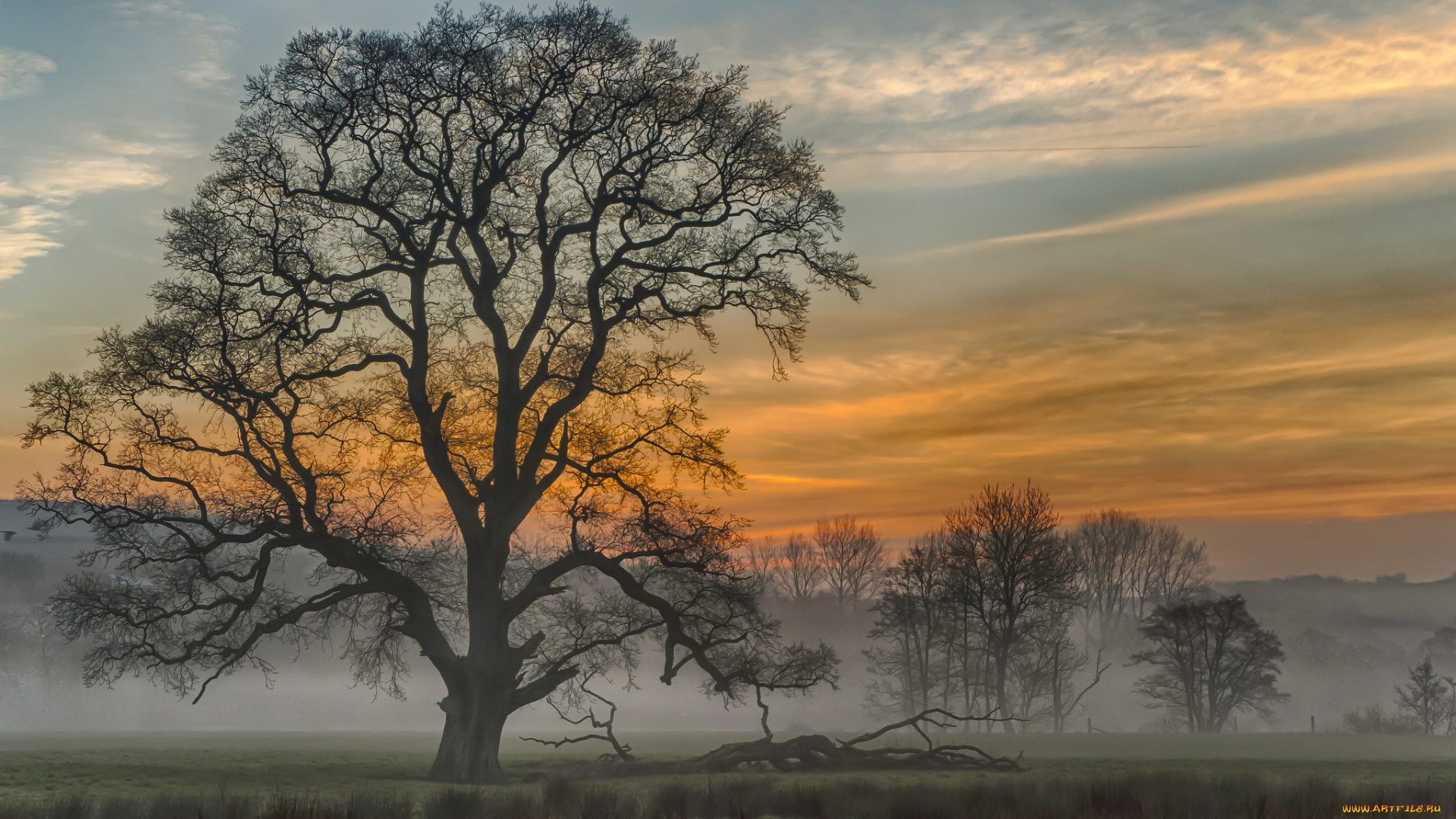 природа, восходы, закаты, рассвет