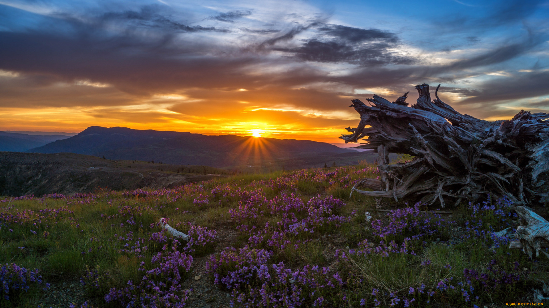 природа, восходы, закаты, рассвет