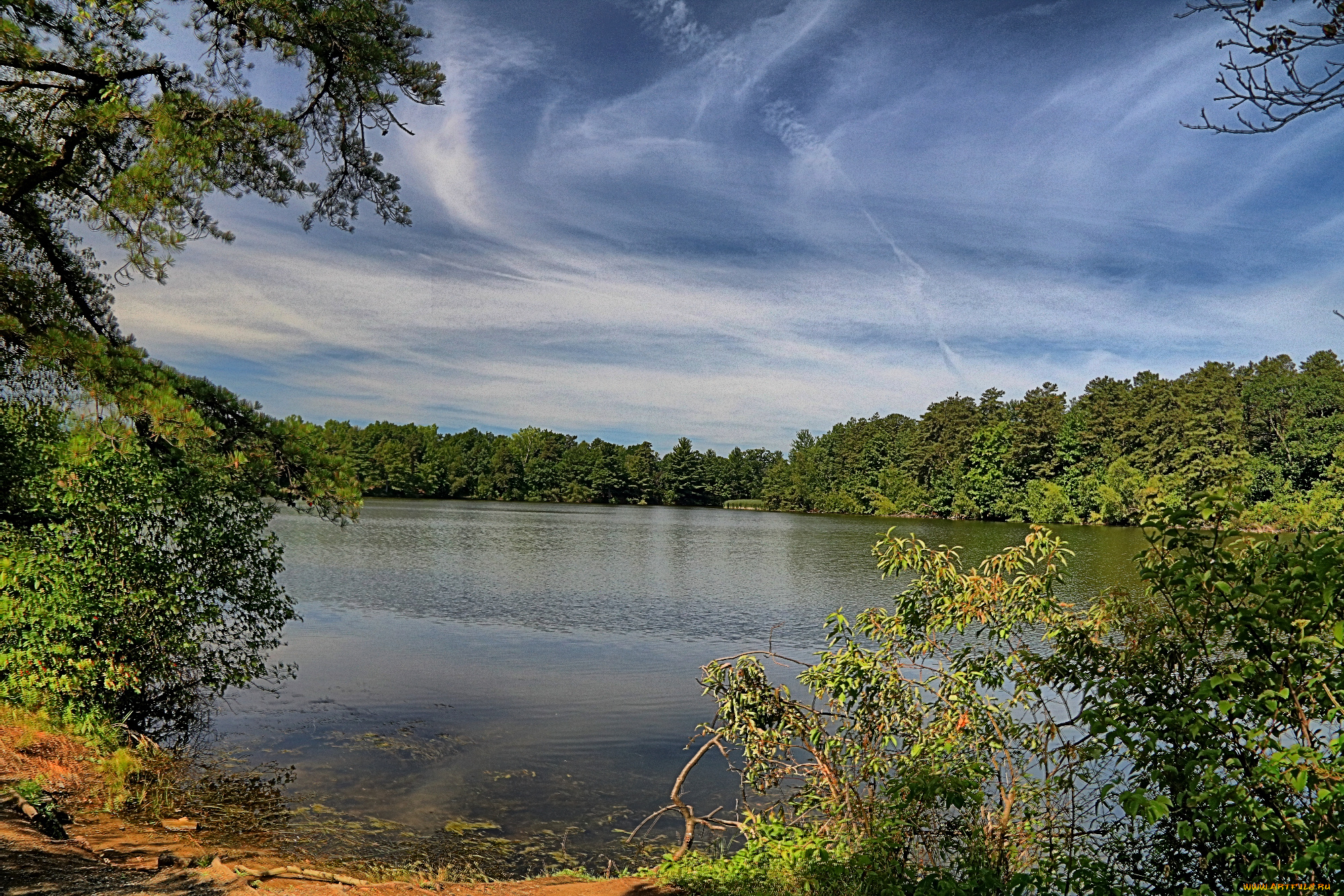 природа, реки, озера, река, лес