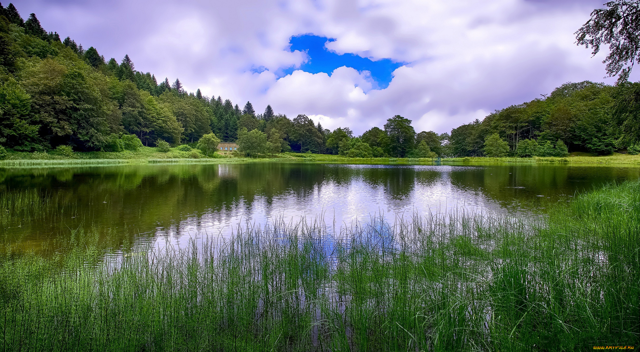 природа, реки, озера, река, лес