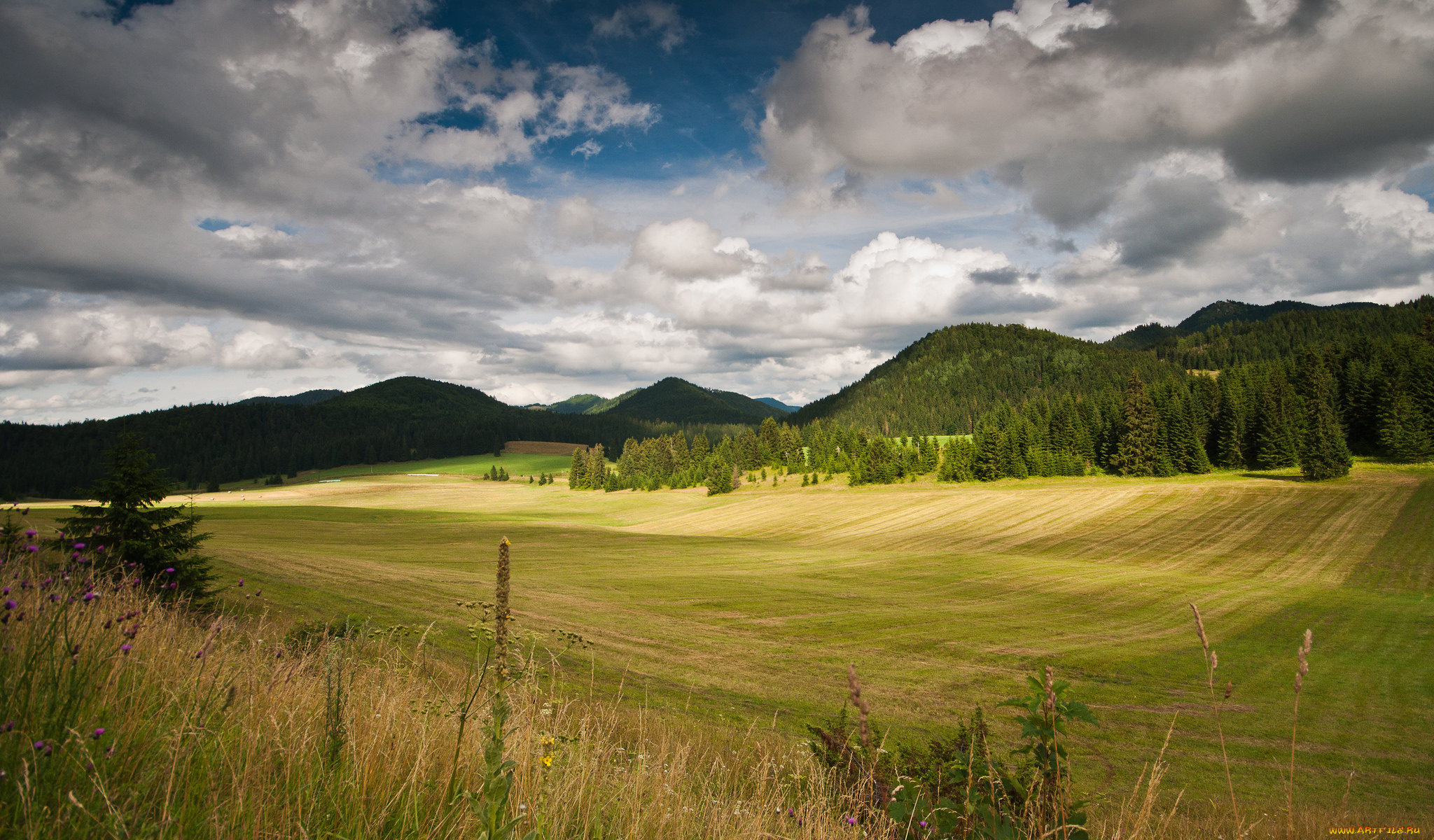 природа, пейзажи, простор
