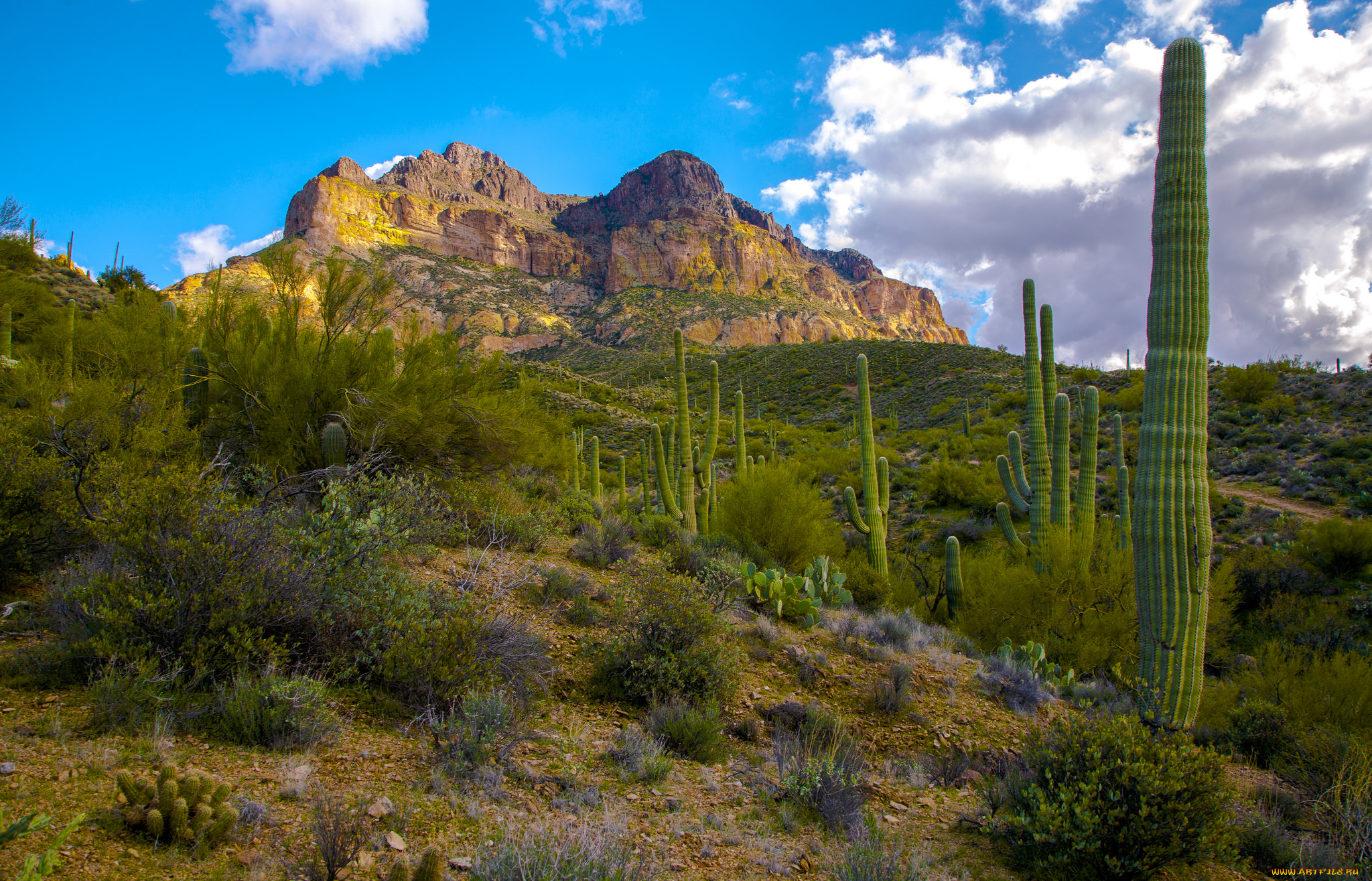 природа, пустыни, скалы