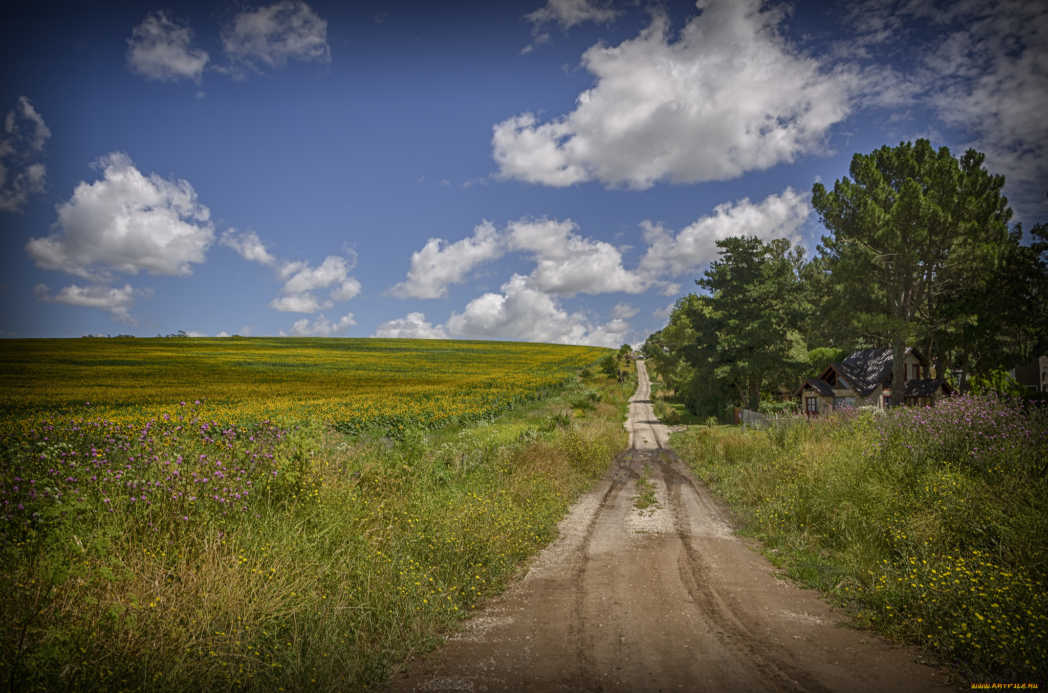 природа, дороги, тракт