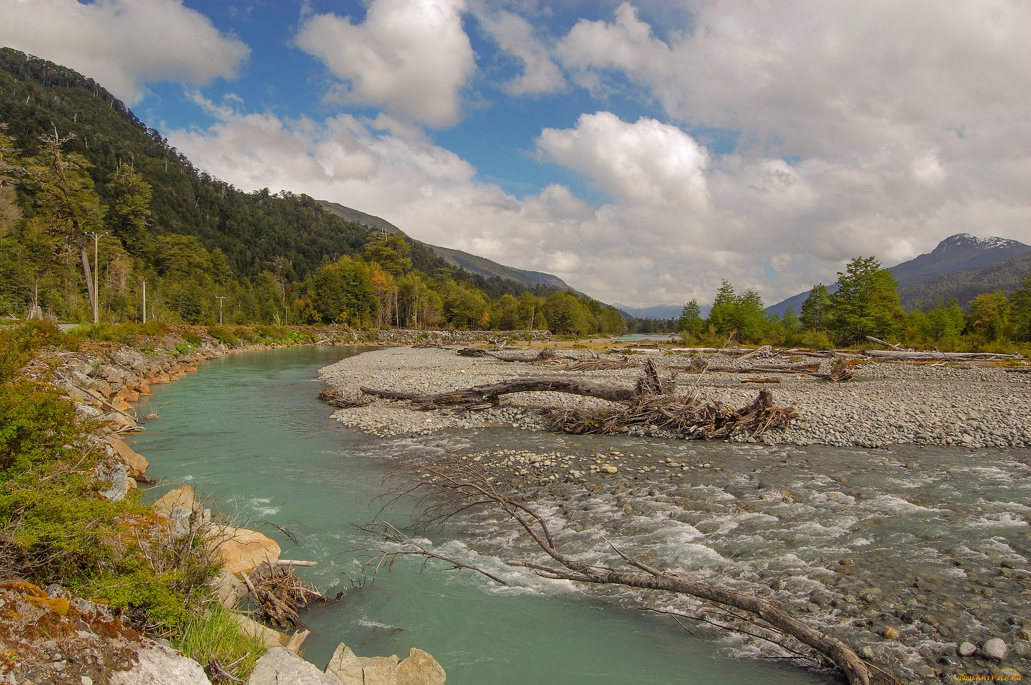 природа, реки, озера, лес, река