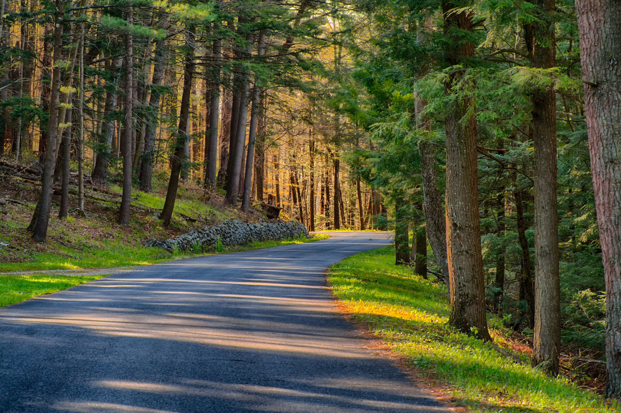 природа, дороги, тракт