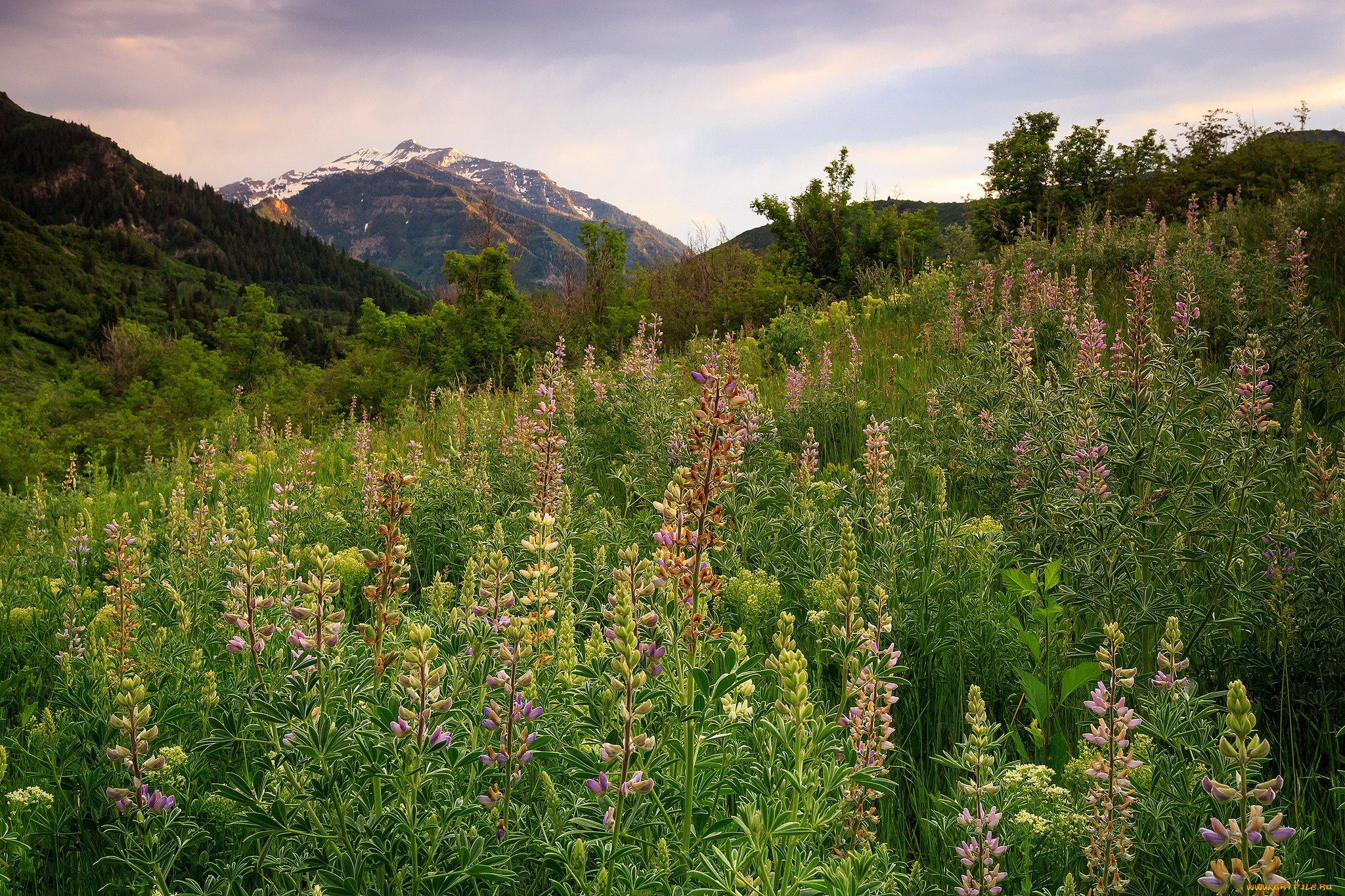 природа, горы, скалы