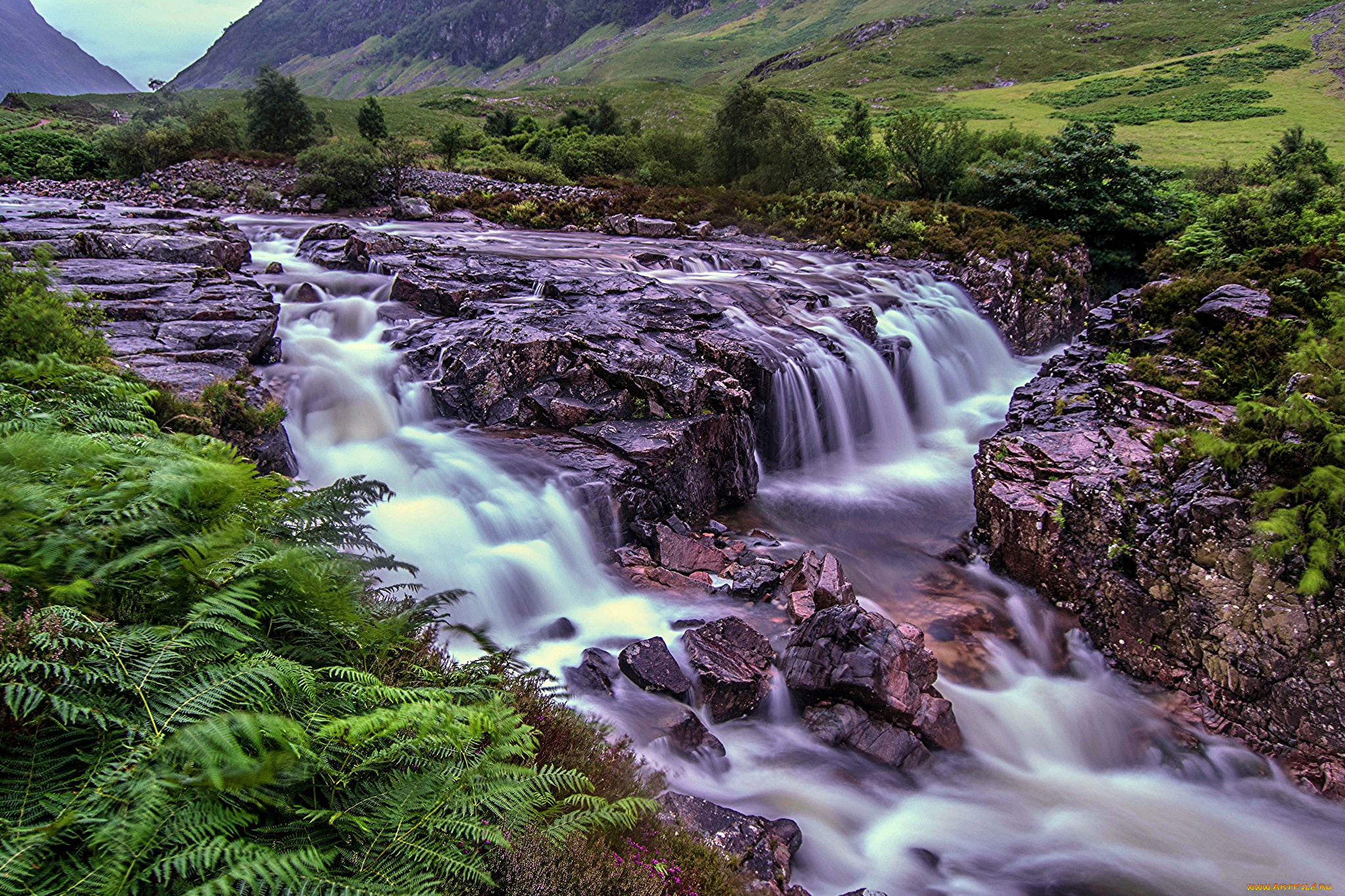 природа, реки, озера, лес, река