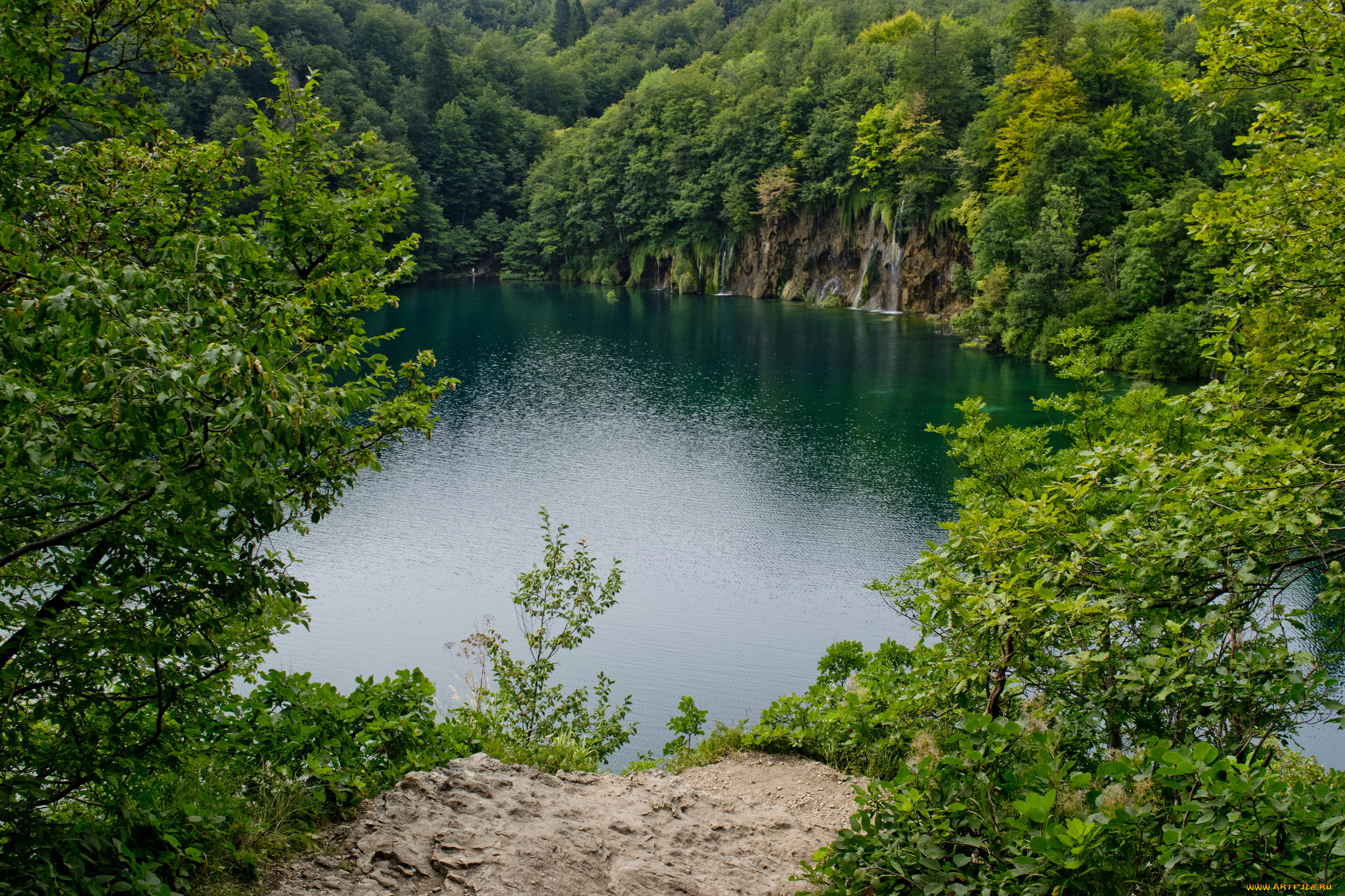 природа, реки, озера, лес, река