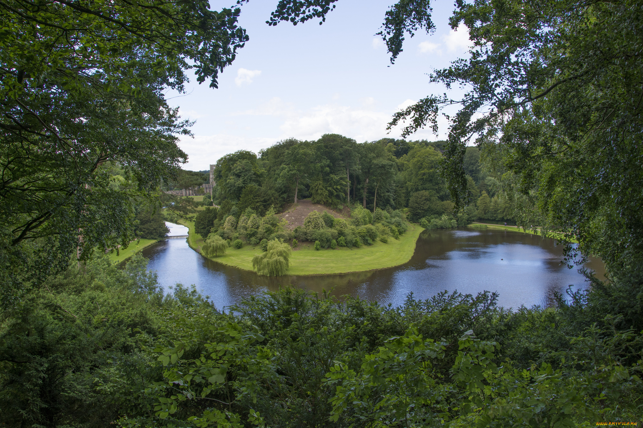 природа, реки, озера, лес, река