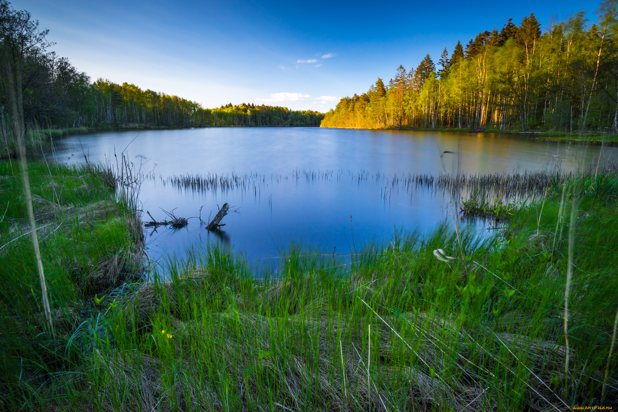 природа, реки, озера, река, лес