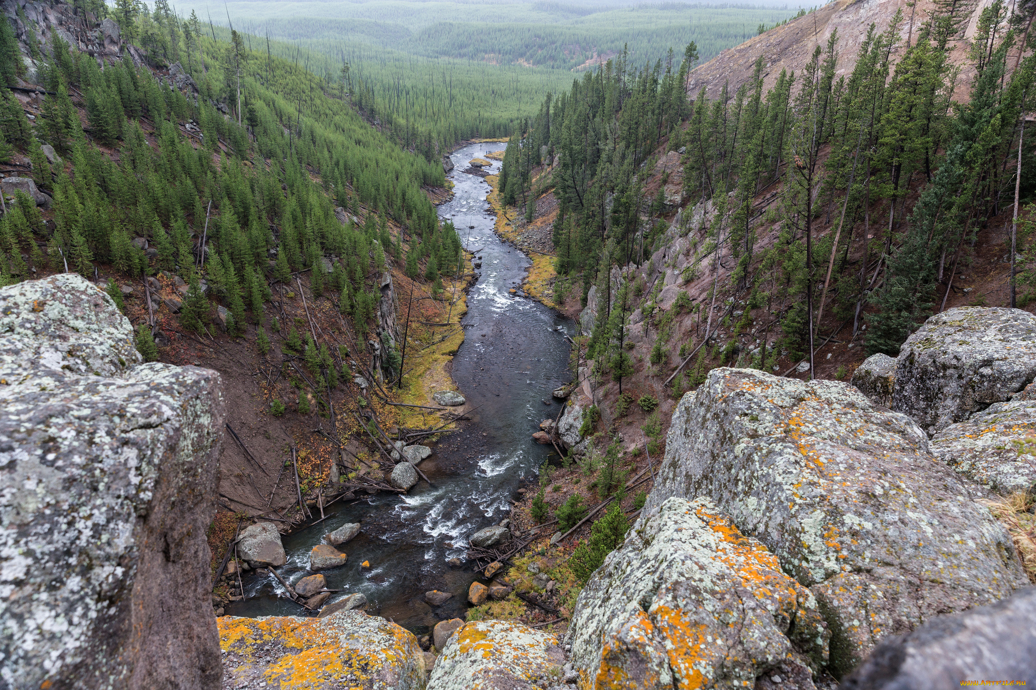 природа, реки, озера, река, лес