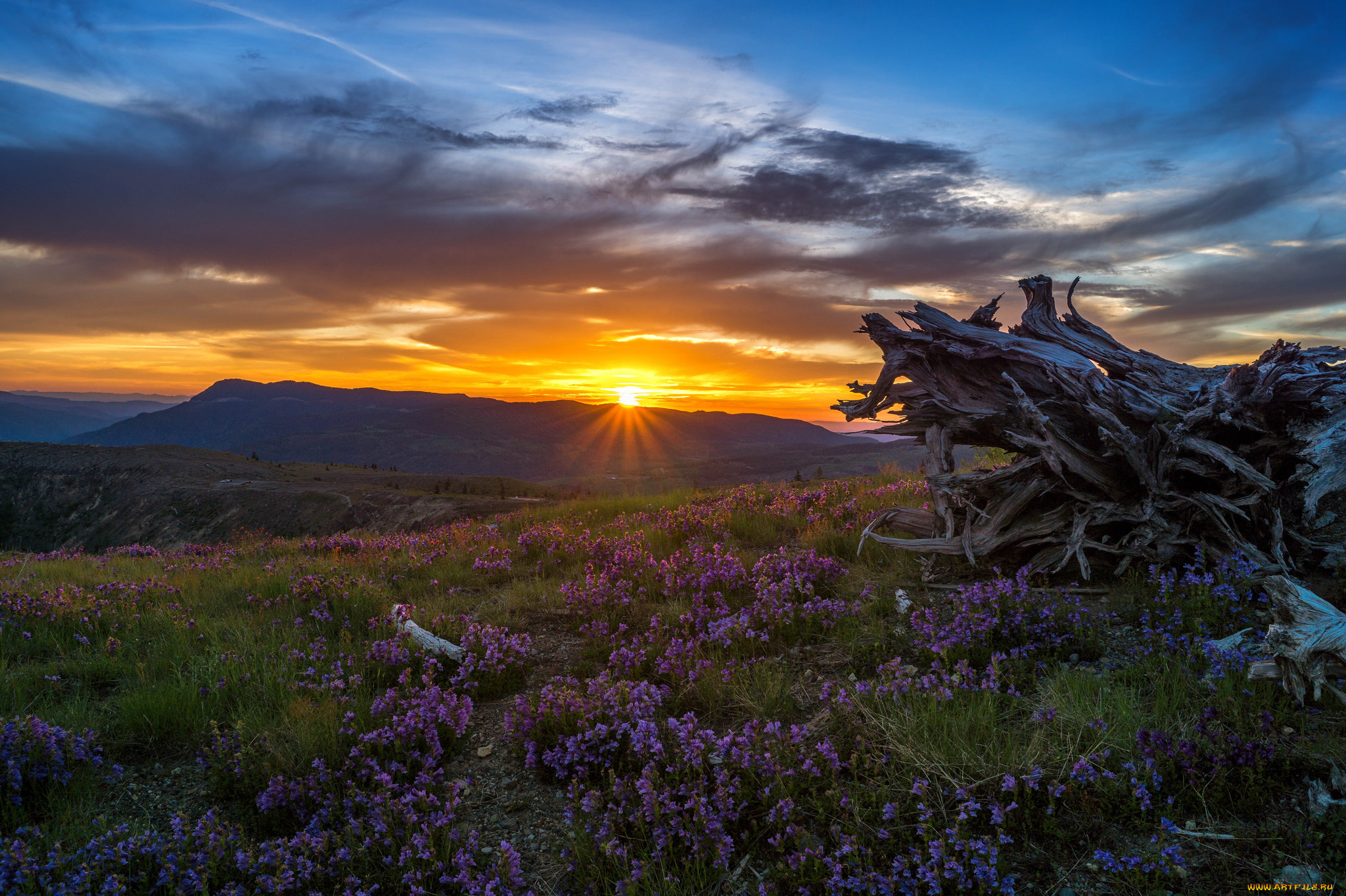 природа, восходы, закаты, рассвет