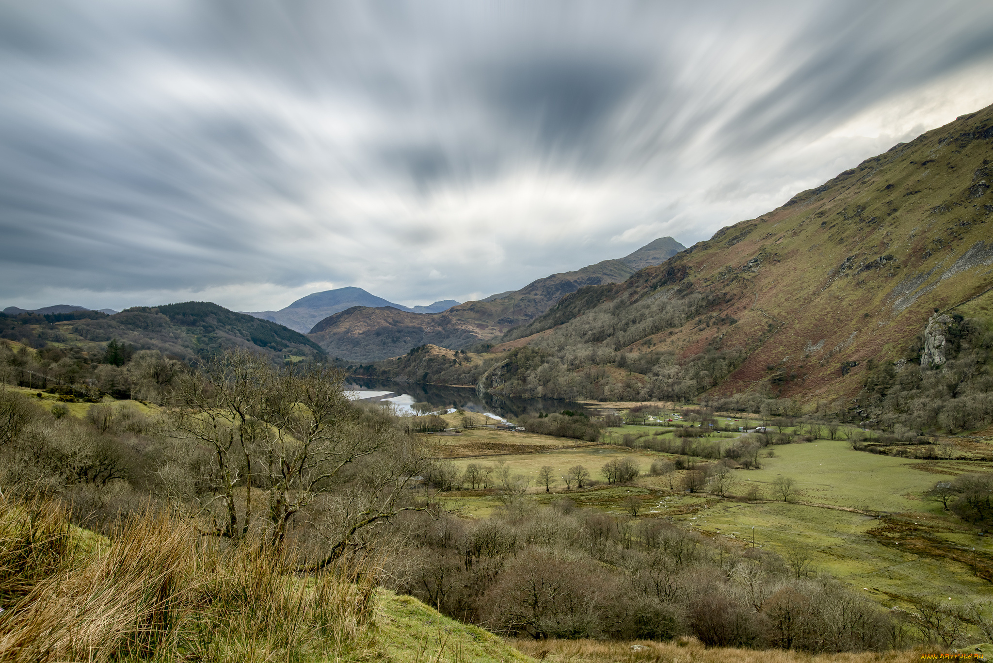 природа, реки, озера, река, лес