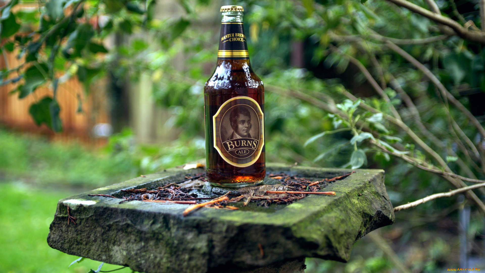 бренды, бренды, напитков, , разное, эль