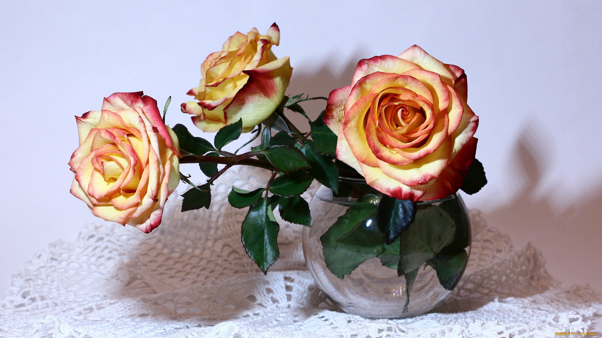 цветы, розы, букеты, композиции, мбг, натюрморты, нфд, рц, салфетка