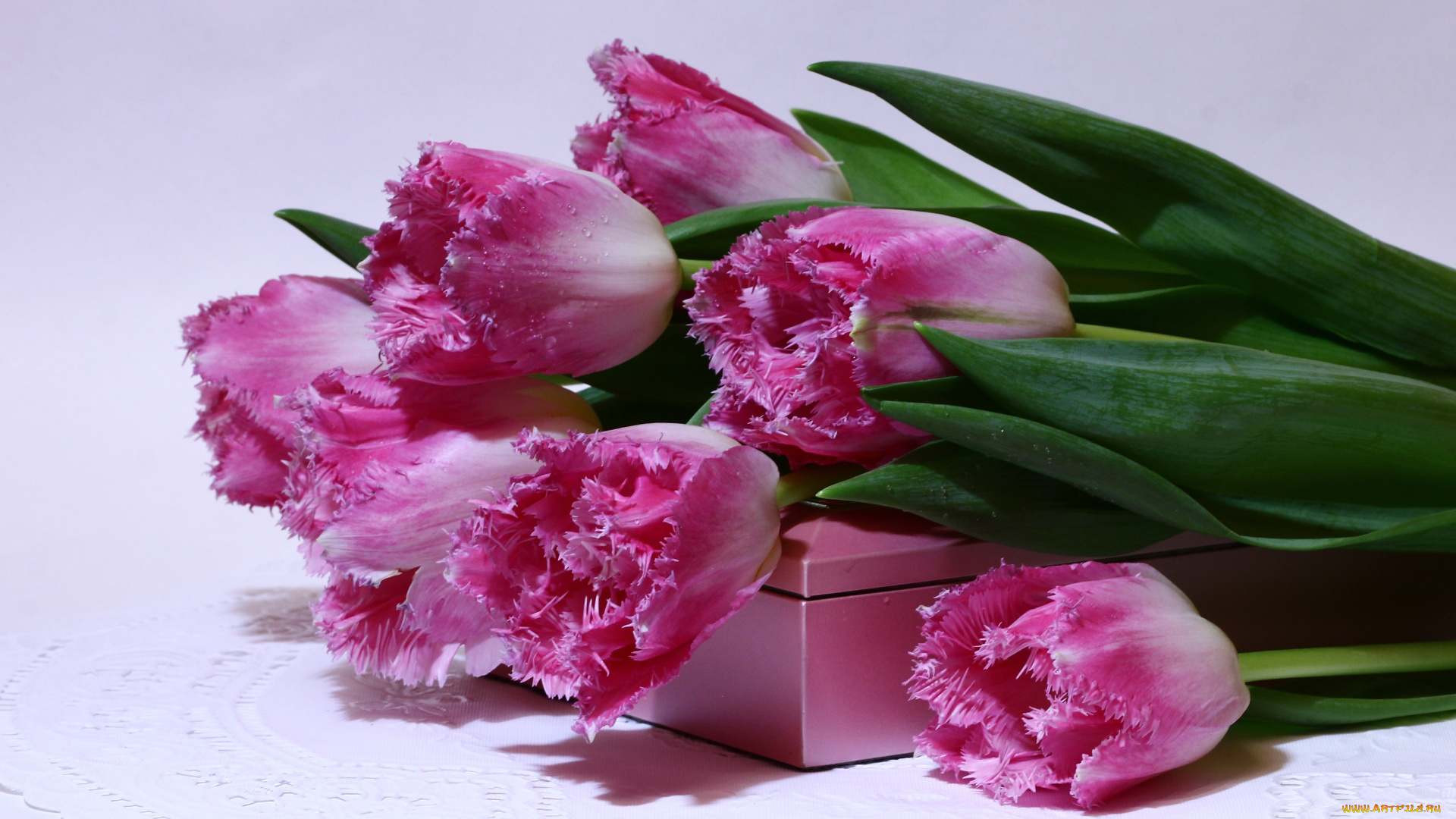 цветы, тюльпаны, букеты, весна, вф, март, нфд, пф