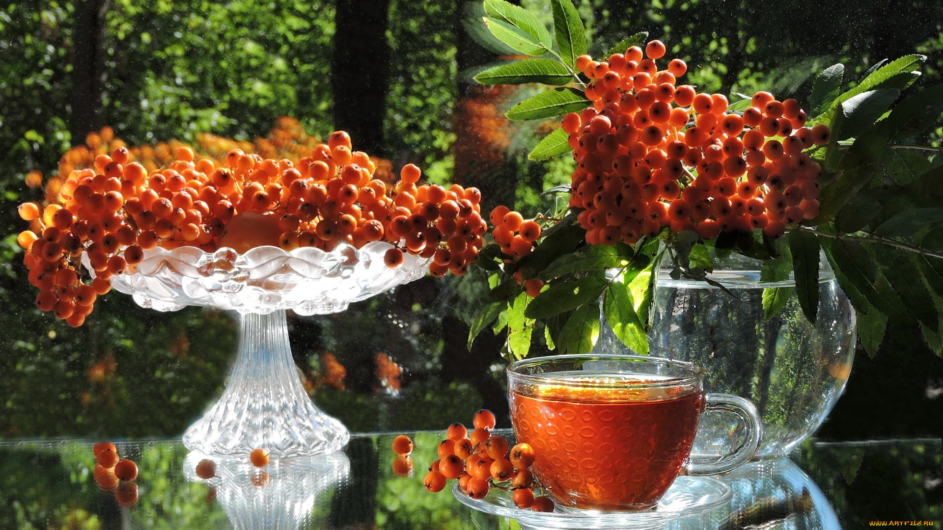 еда, натюрморт, август, ягоды, предметы, фото, композиция, рябина, чай