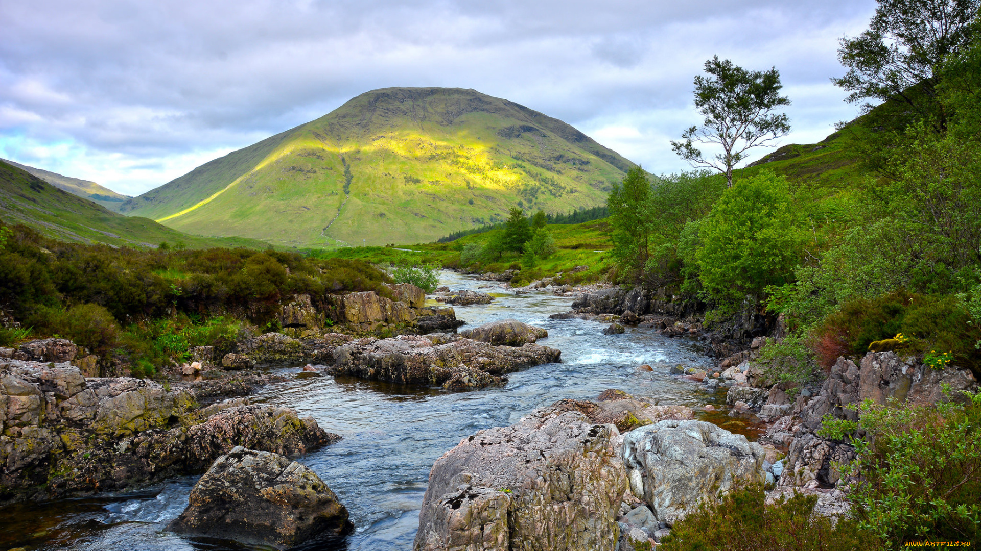 природа, реки, озера, лес, река