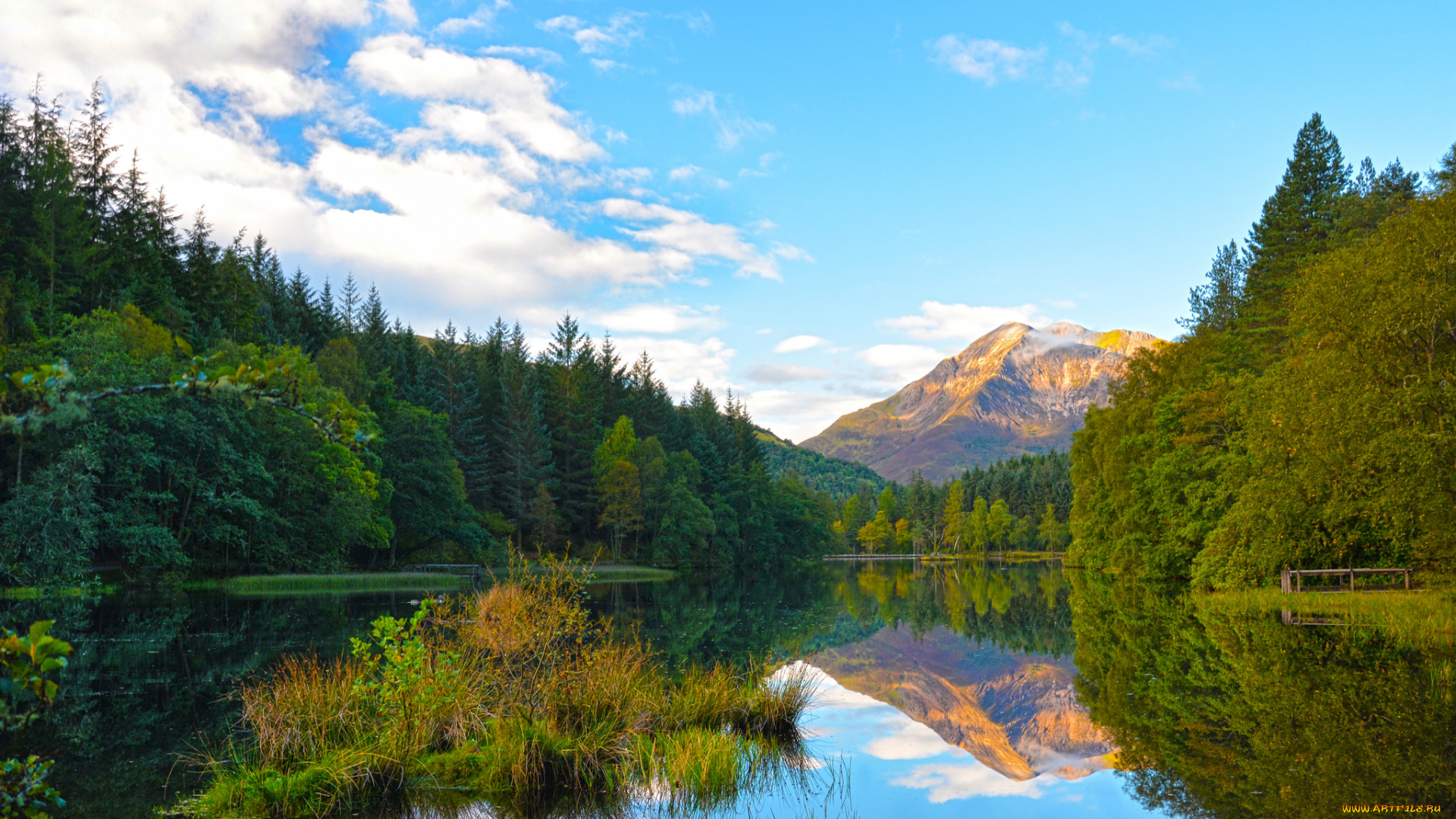 природа, реки, озера, лес, река