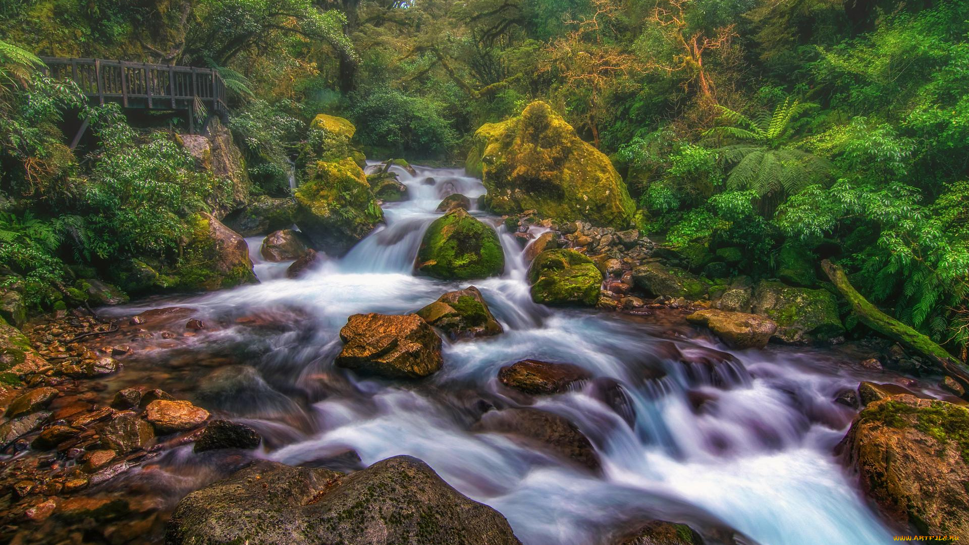 природа, реки, озера, национальный, парк, фьордленд, милфорд, тропические, леса, южный, островновая, зеландия, лес, река, мост, камни, водопад, пейзаж