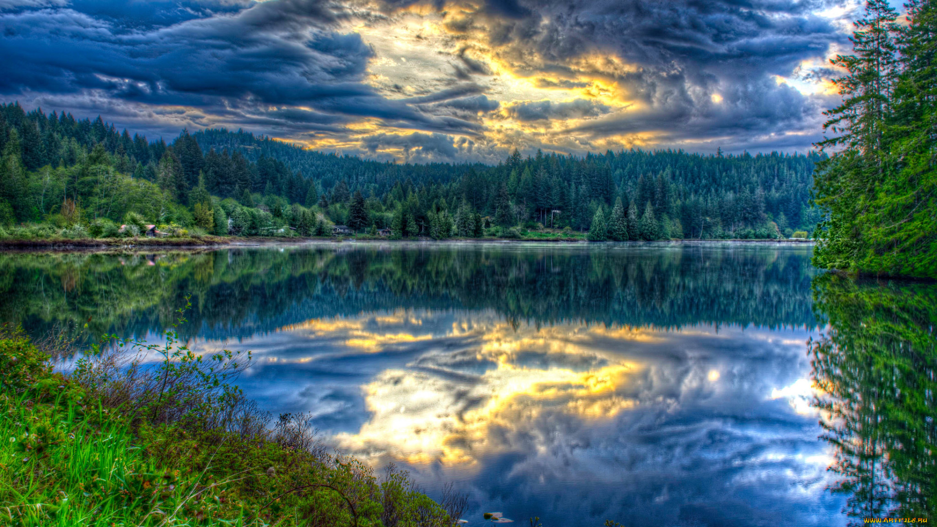 природа, реки, озера, река, лес