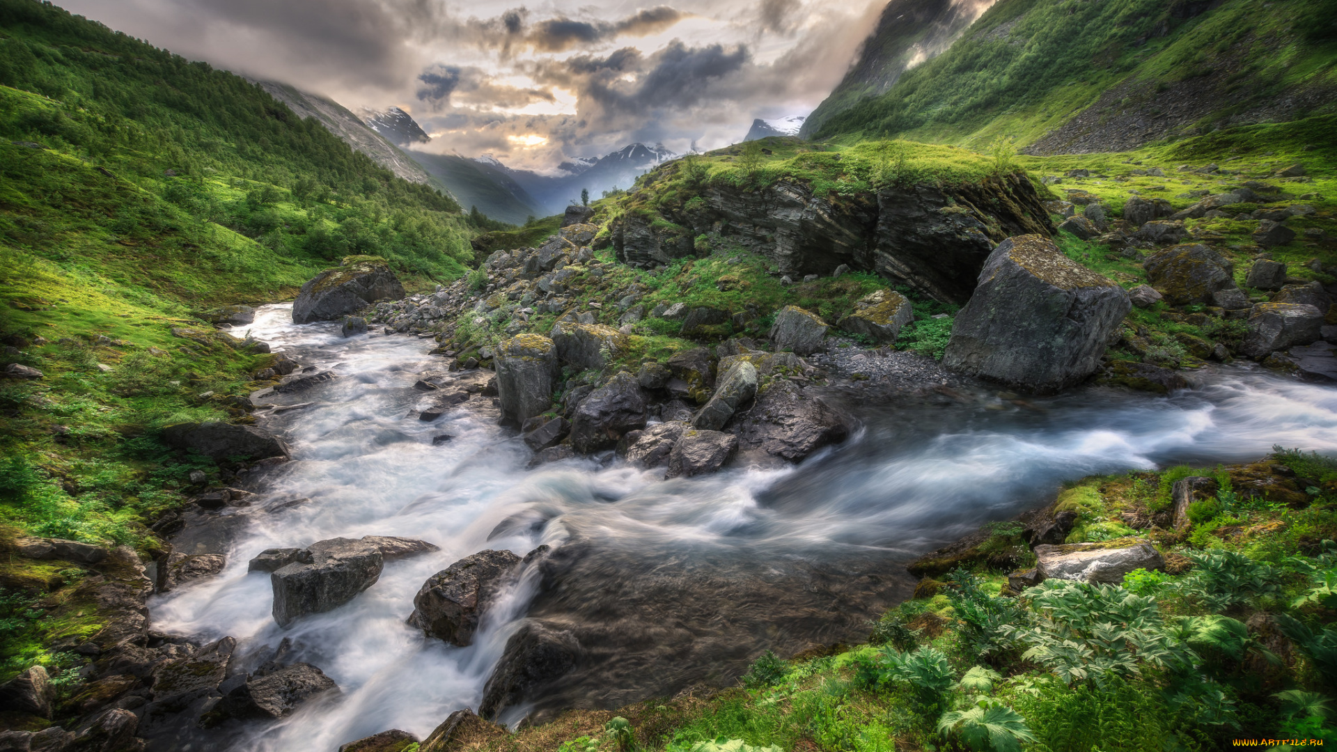 природа, реки, озера, река, лес